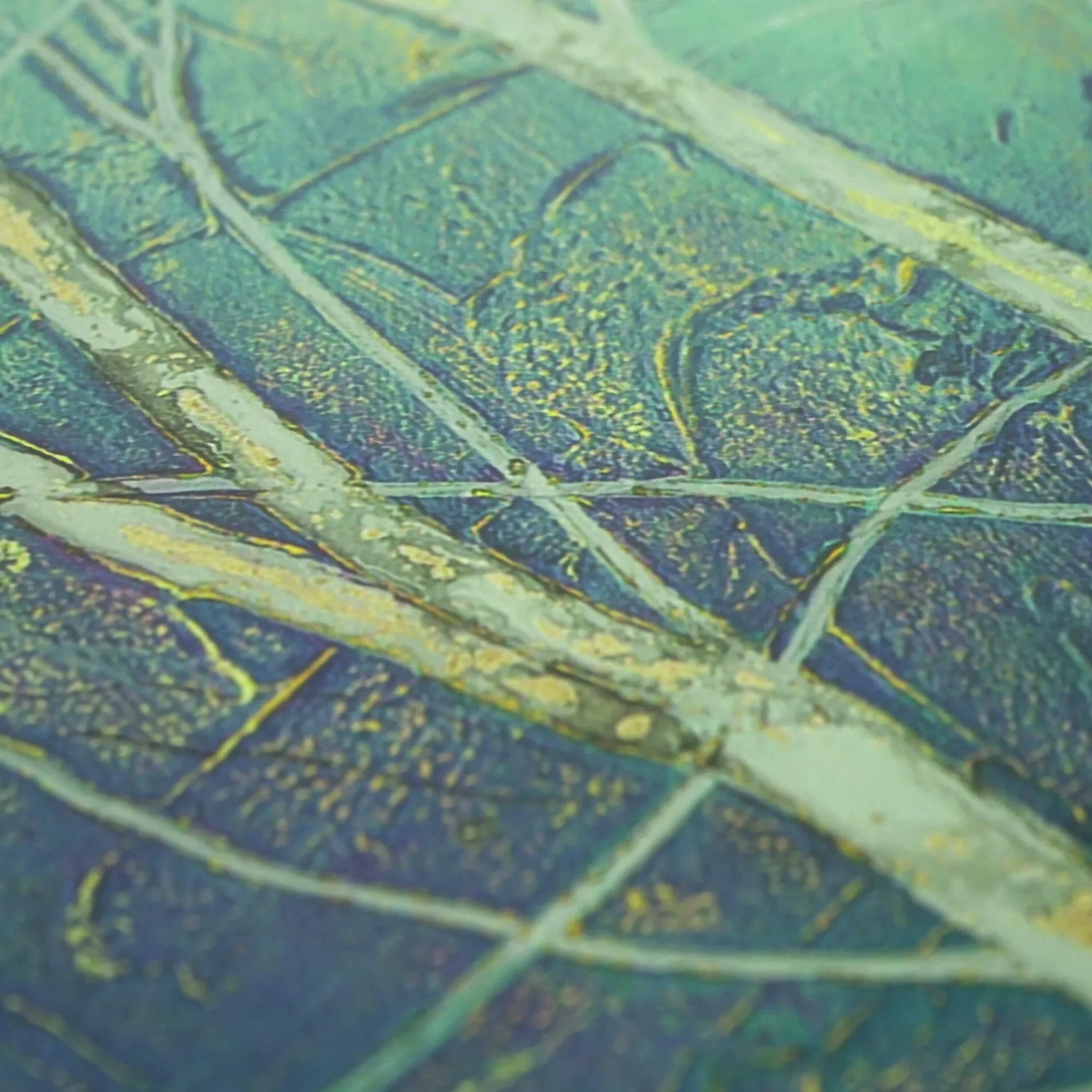 Unframed Prints*Whistlefish A Shimmer Of Light Art Print