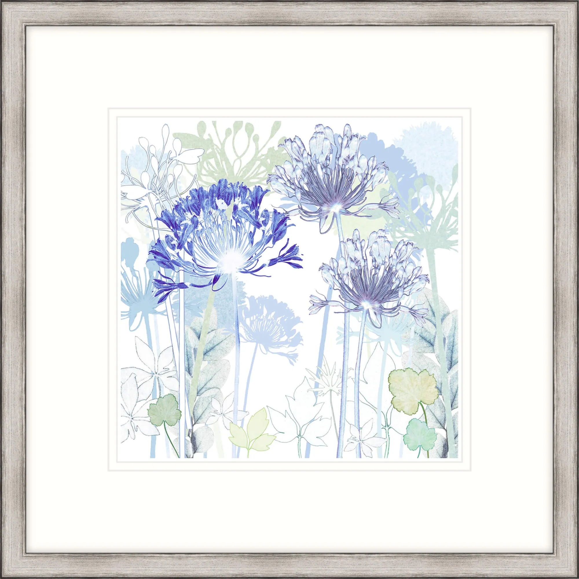 Floral & Flowers|Framed Prints*Whistlefish Agapanthus Garden Framed Print