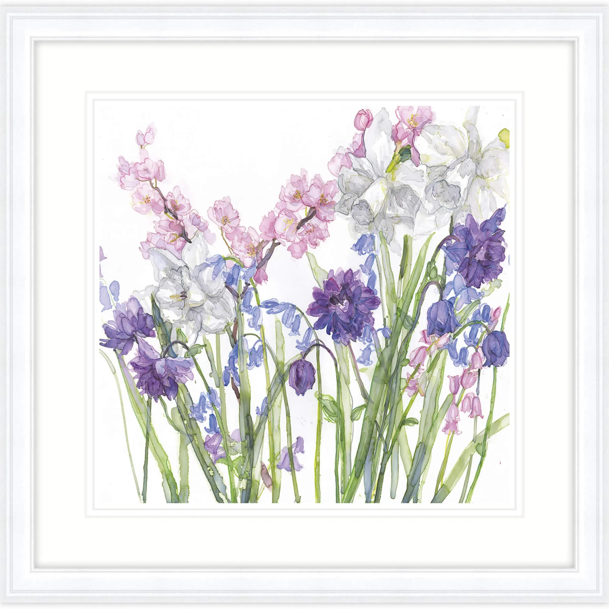 Floral & Flowers|Framed Prints*Whistlefish Aquilegia Bluebells & Blossom Framed Print