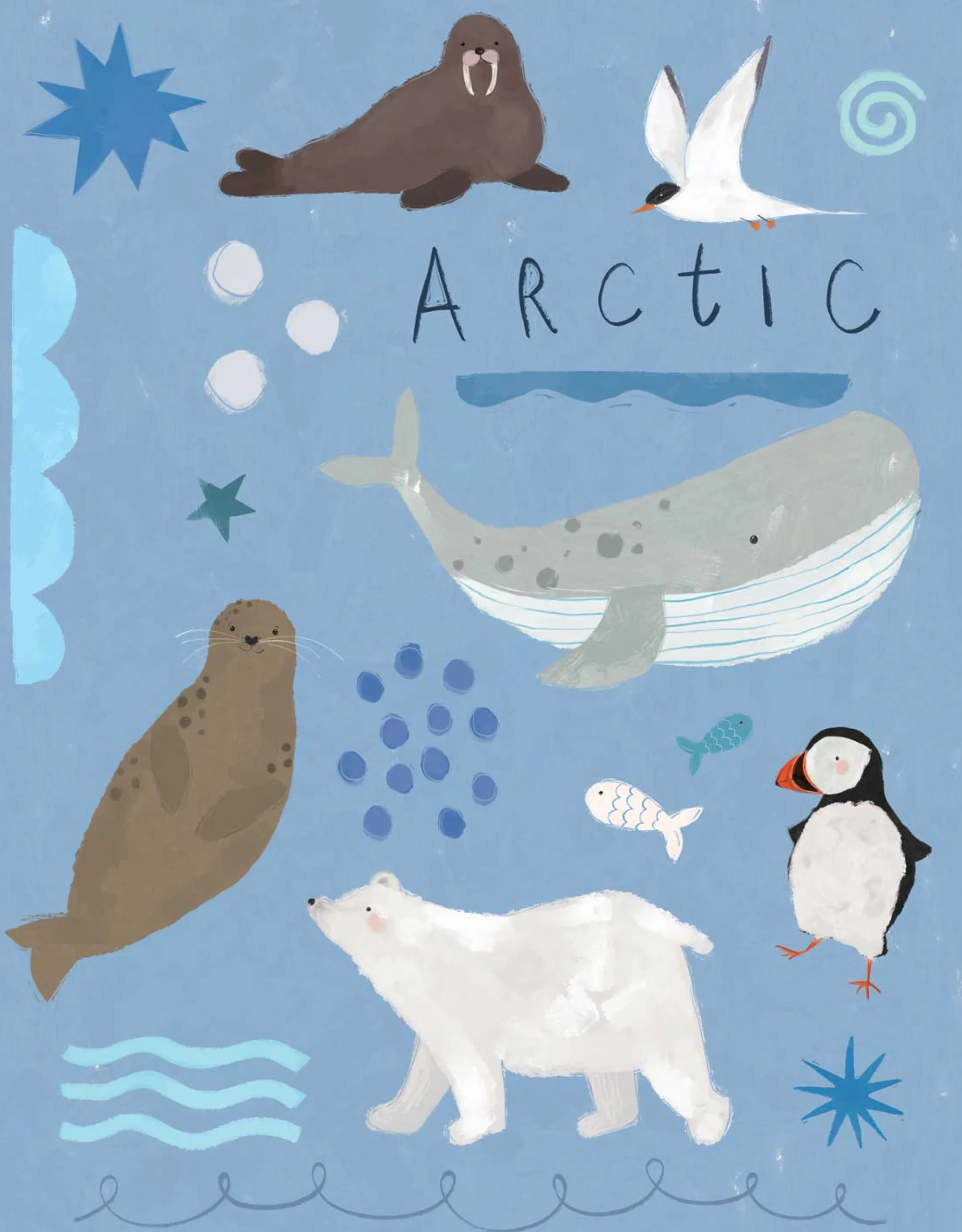 Wild Wonders|Animal*Whistlefish Arctic Explorers Medium Framed Print