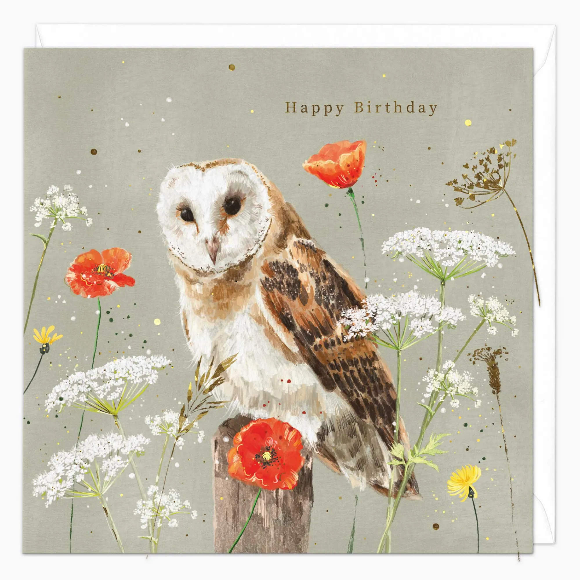 Birthday|For Her*Whistlefish Barn Owl Birthday Card