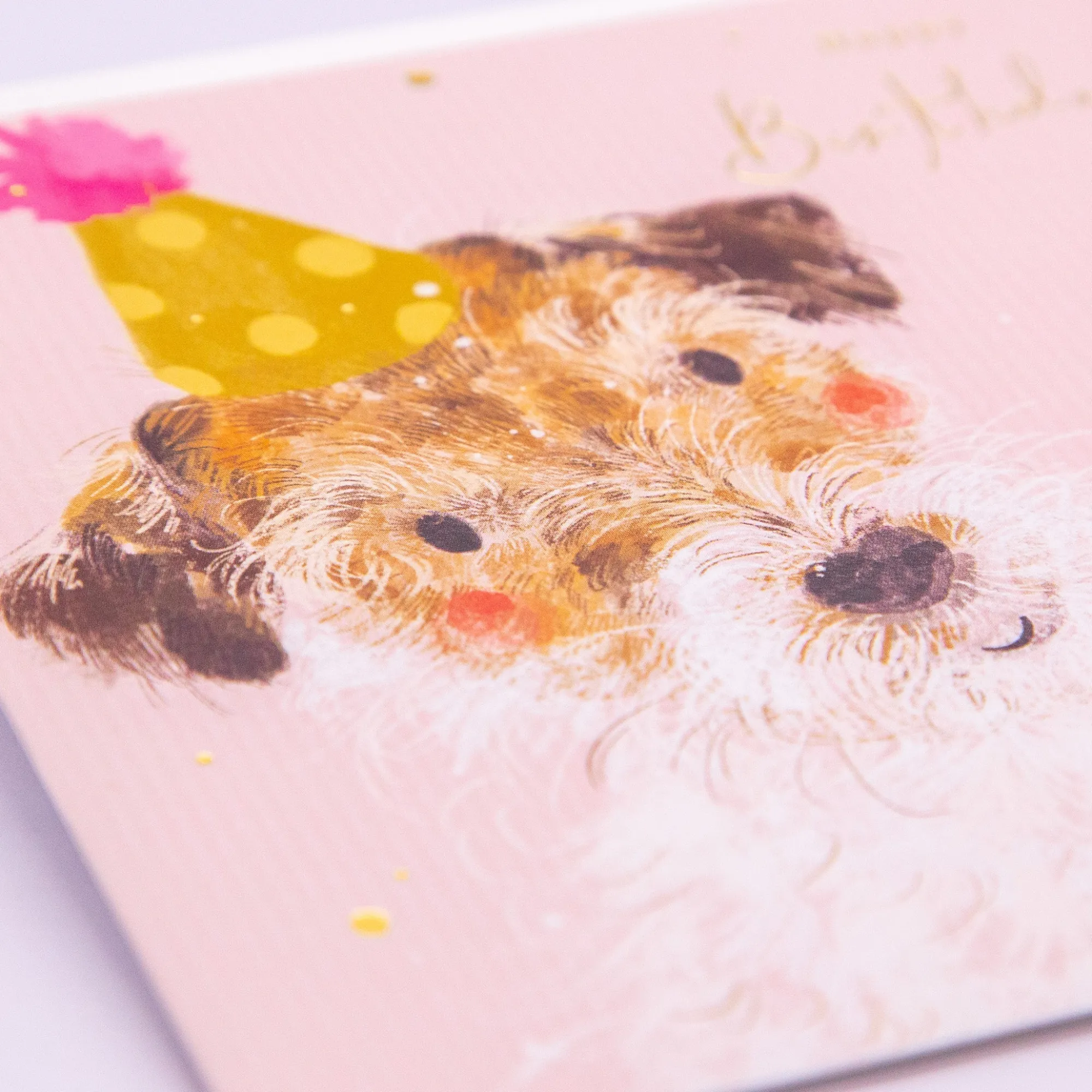 Birthday|For Children*Whistlefish Bashful Jack Russell Birthday Card