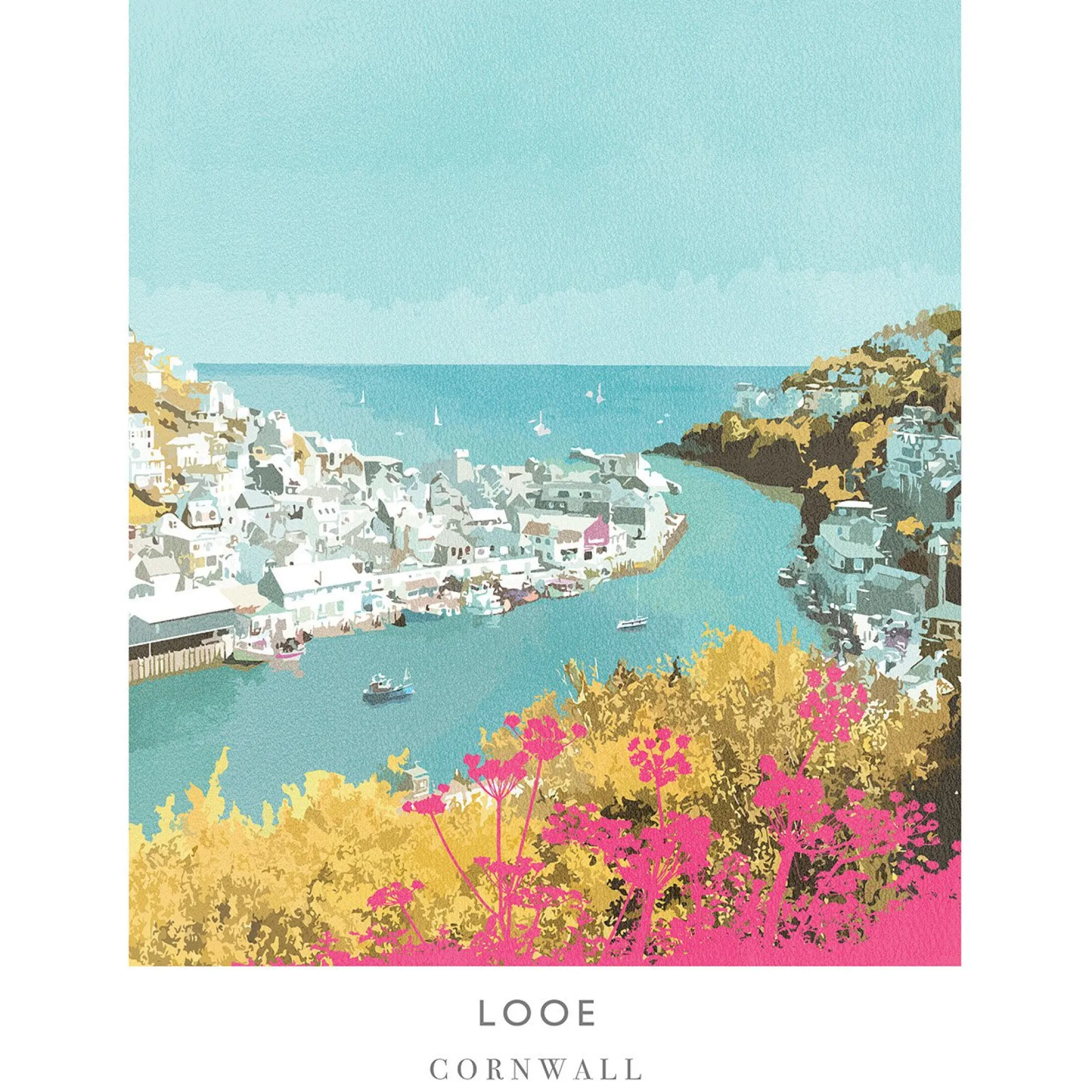 Unframed Prints*Whistlefish Birds Eye Of Looe Art Print