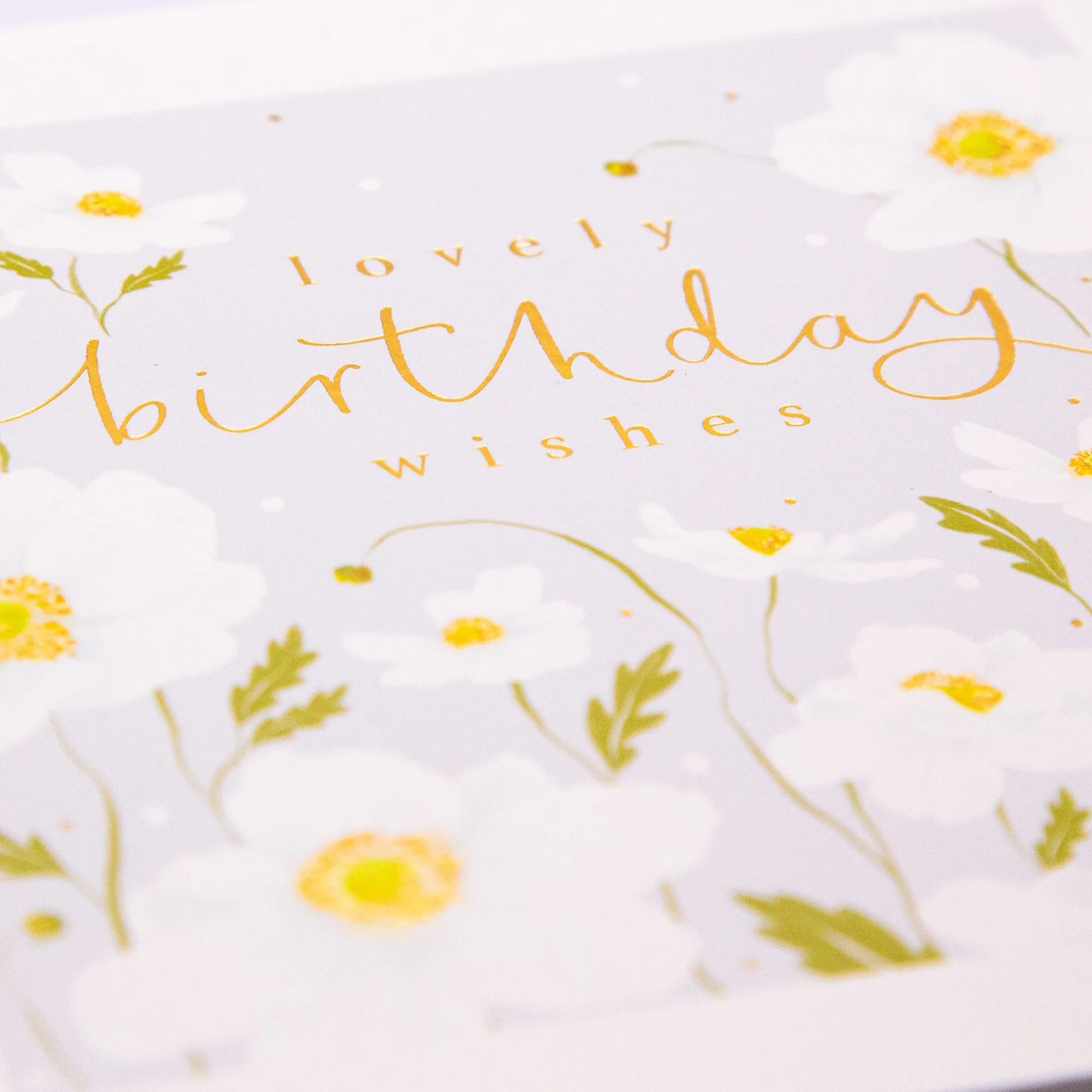 Birthday|For Her*Whistlefish Birthday Wishes Anemone Card