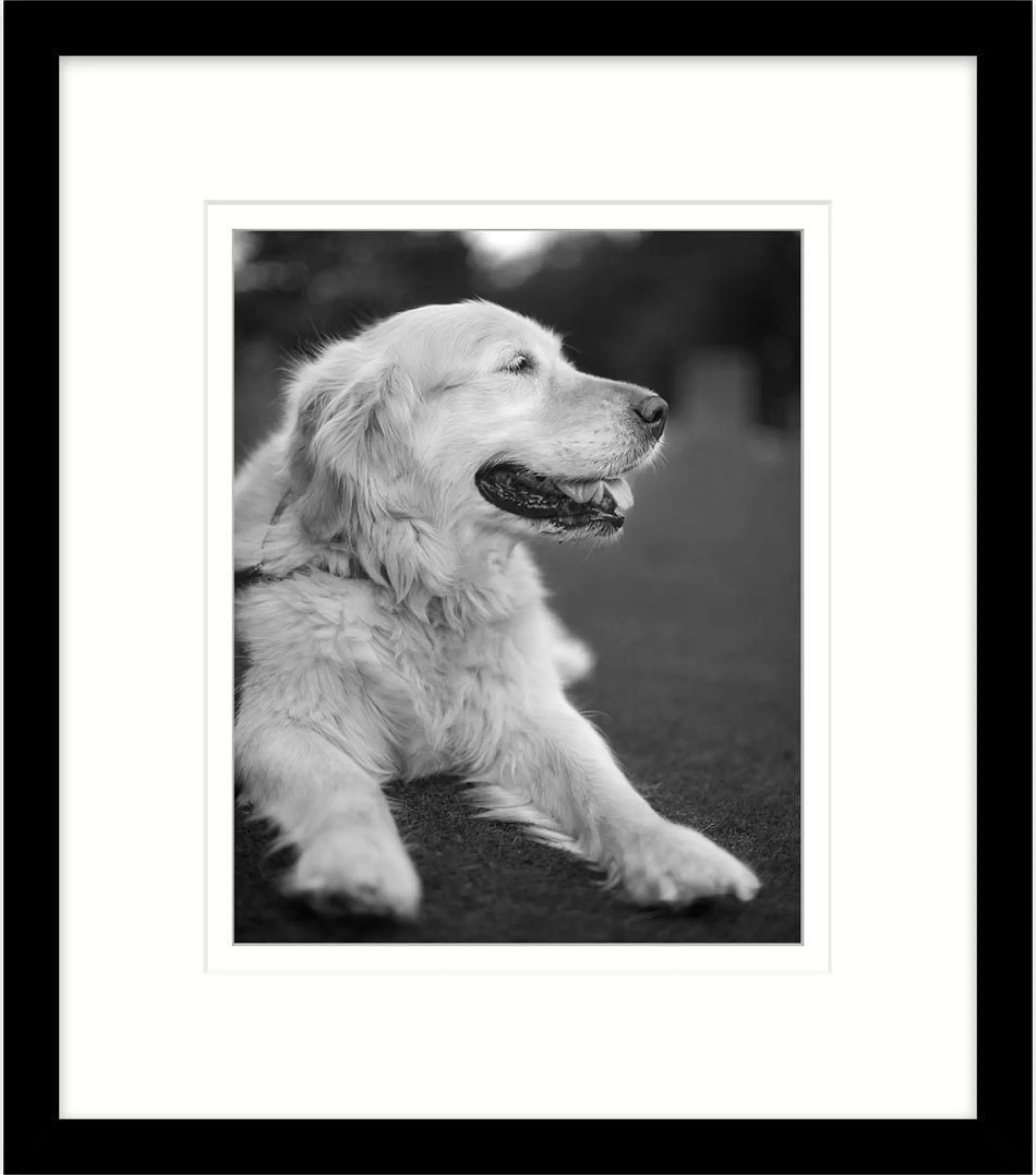 Pictures And Photo Frames|Picture & Photo Frames*Whistlefish Black Picture Frame 20 x 16 Inch