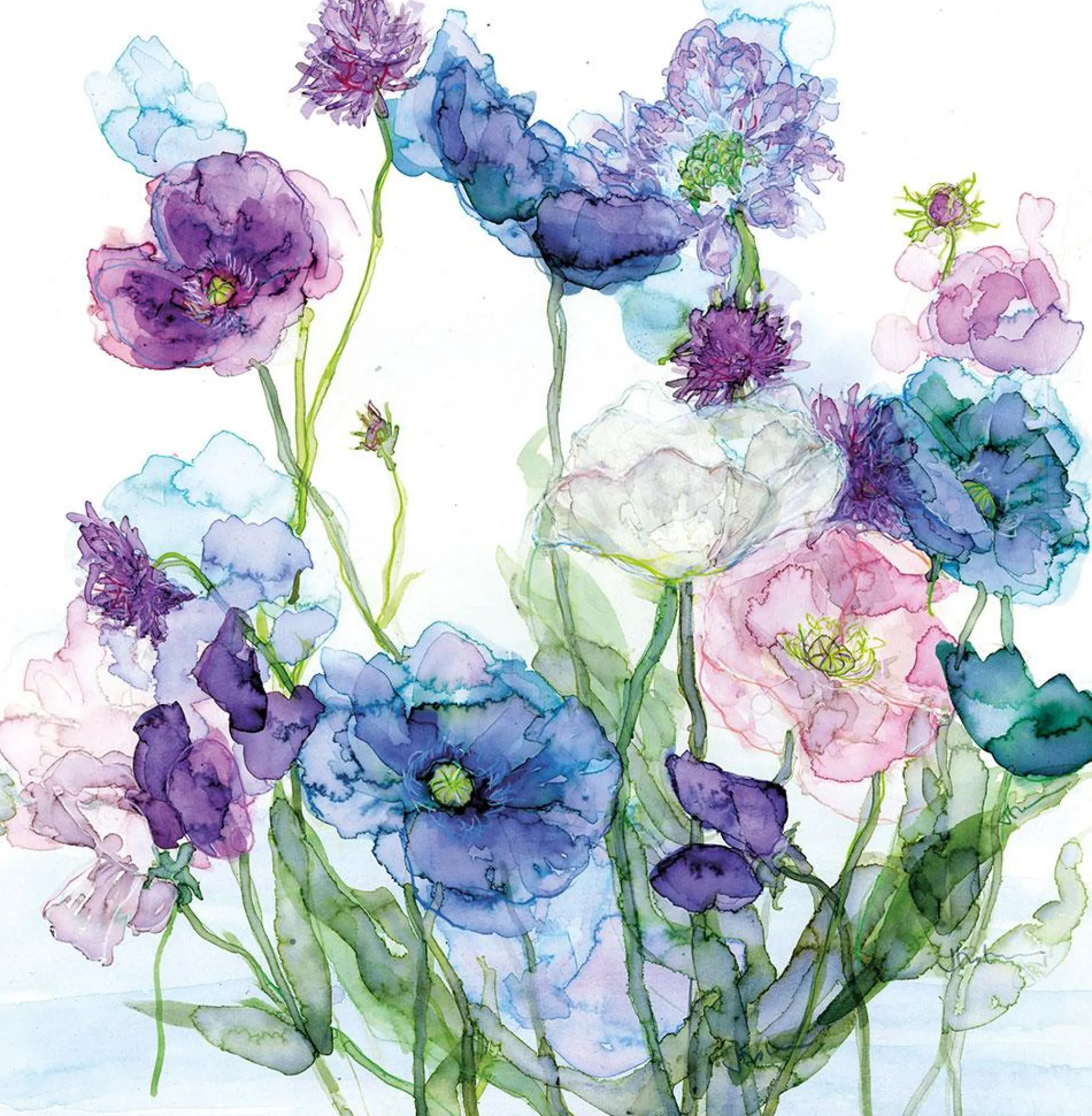 Unframed Prints*Whistlefish Blue Poppies And Sweet Pea Art Print