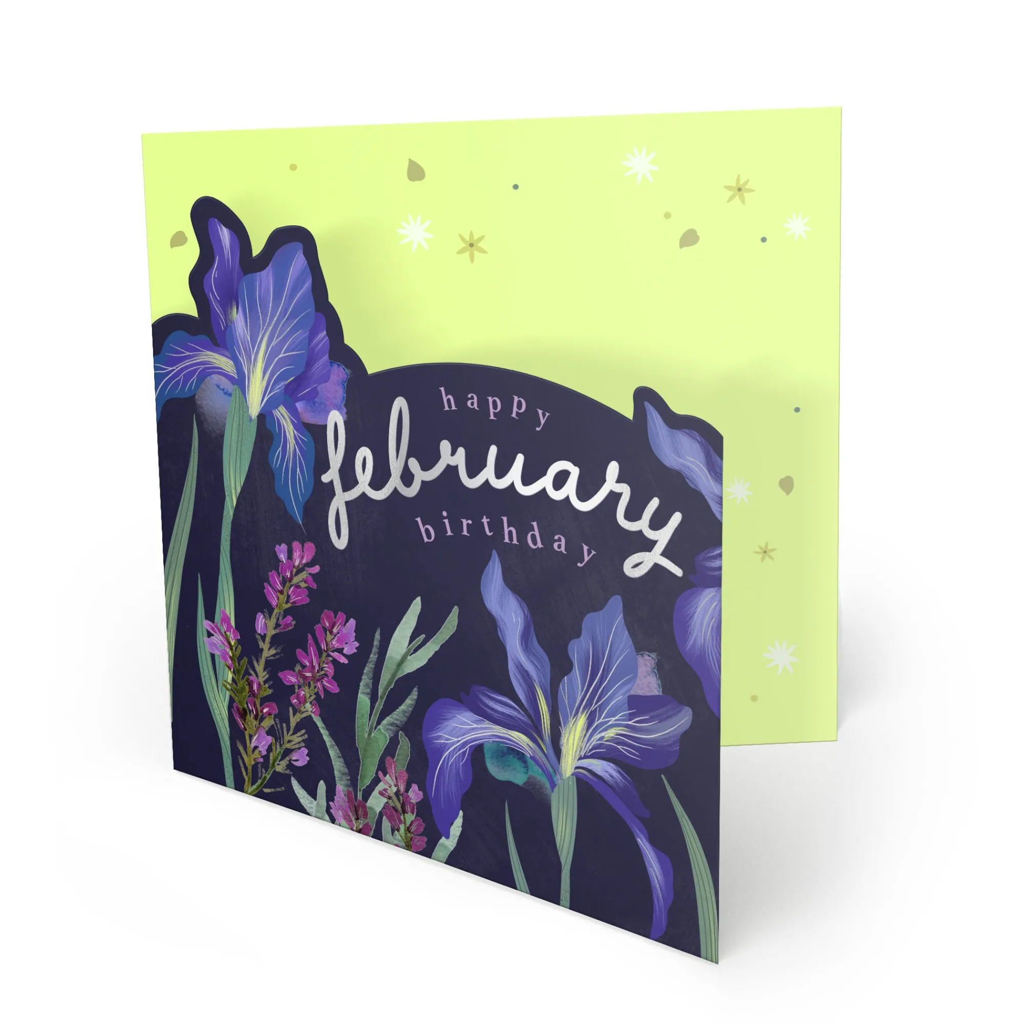 Birthday|Birthday*Whistlefish Bright Summer February Birthday Card