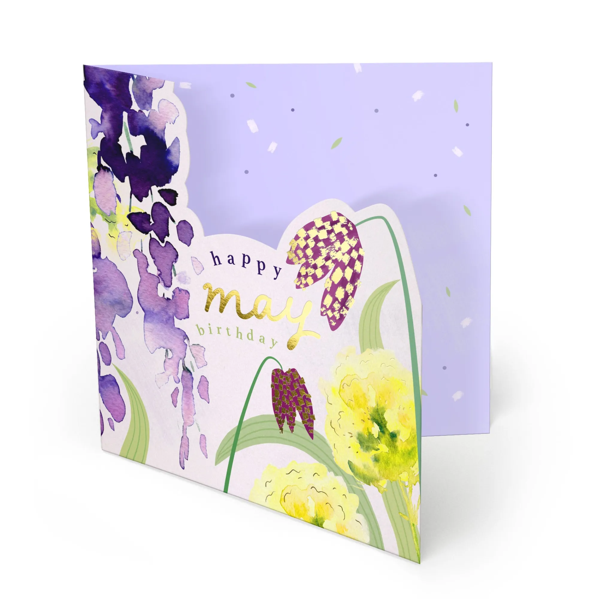 Birthday|Birthday*Whistlefish Bright Summer May Birthday Card