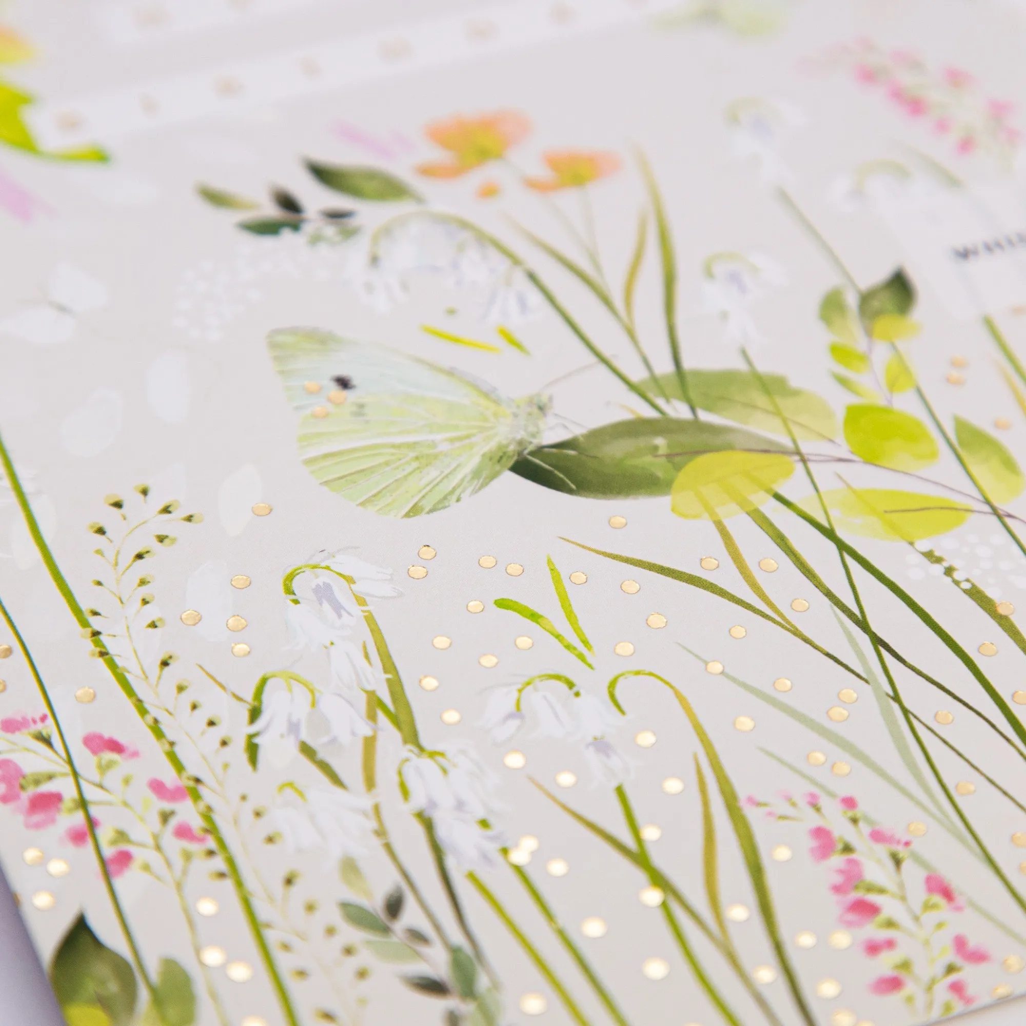 Birthday*Whistlefish Butterfly Meadow Birthday Card
