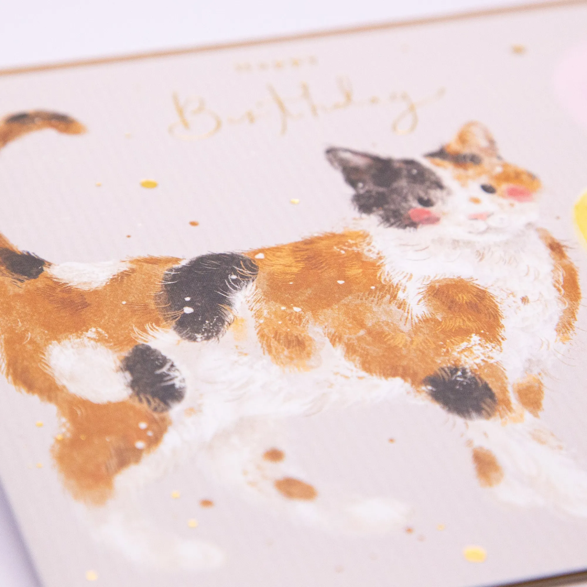 Birthday|For Her*Whistlefish Calico Cat & Balloon Birthday Card