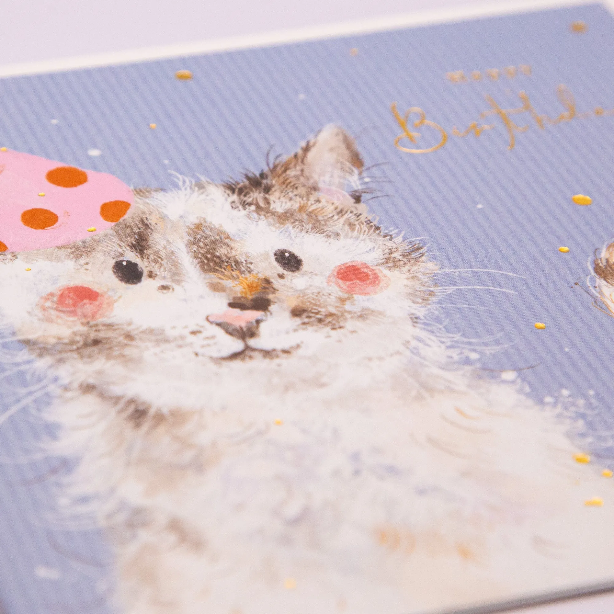 Birthday|For Him*Whistlefish Cat In A Hat Birthday Card
