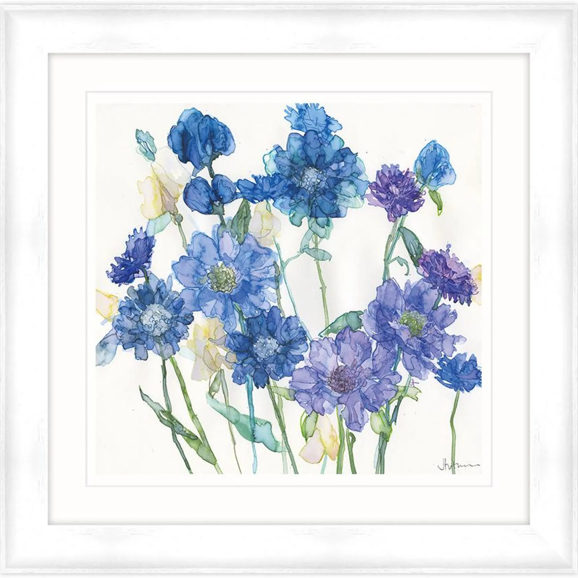 Framed Prints*Whistlefish Cornflowers & Mixed Scabious Framed Print