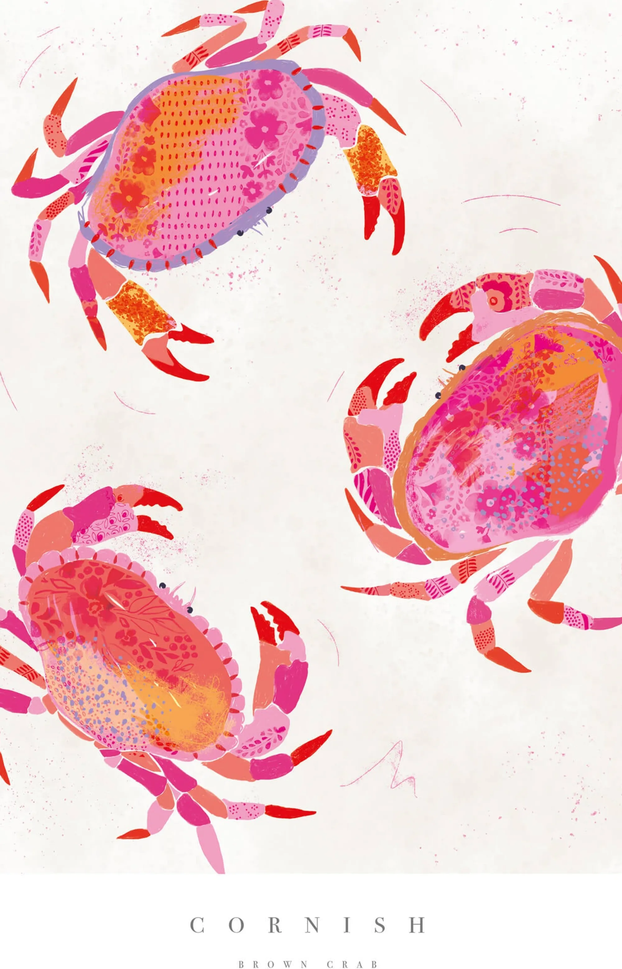 Sea Creatures|Unframed Prints*Whistlefish Cornish Crabs Large Art Print