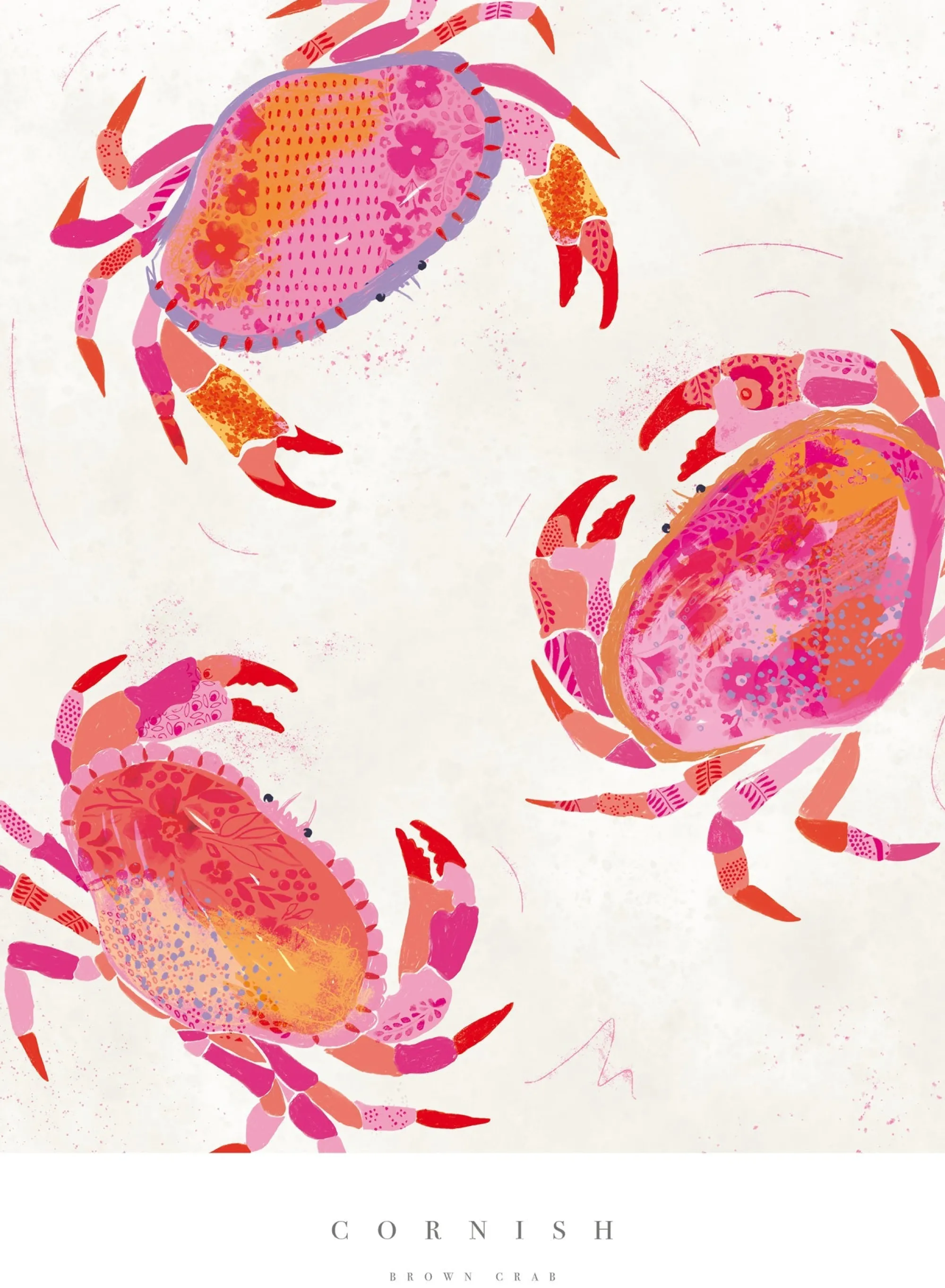 Sea Creatures|Unframed Prints*Whistlefish Cornish Crabs Medium Art Print
