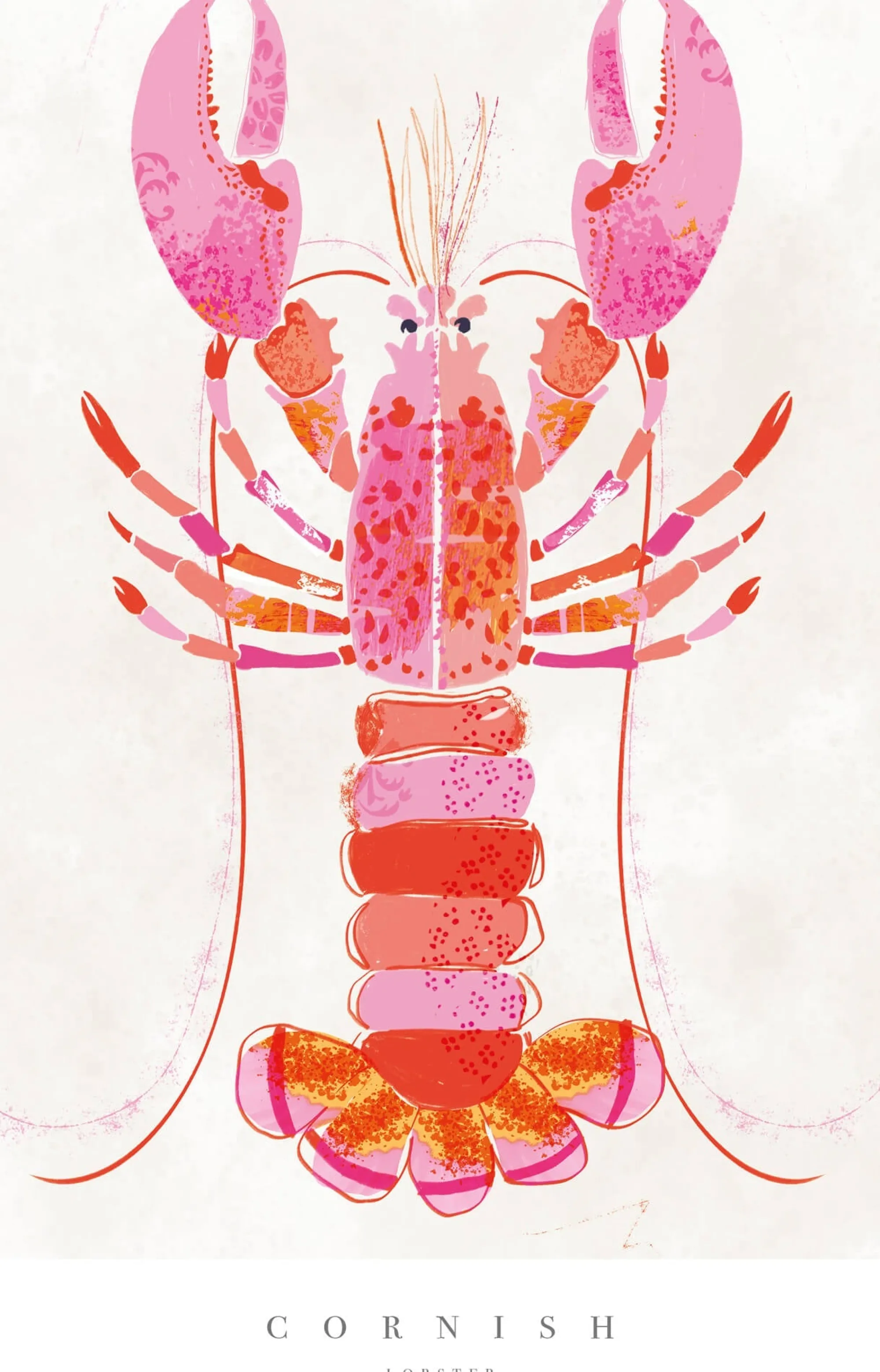 Sea Creatures|Unframed Prints*Whistlefish Cornish Lobster Large Art Print