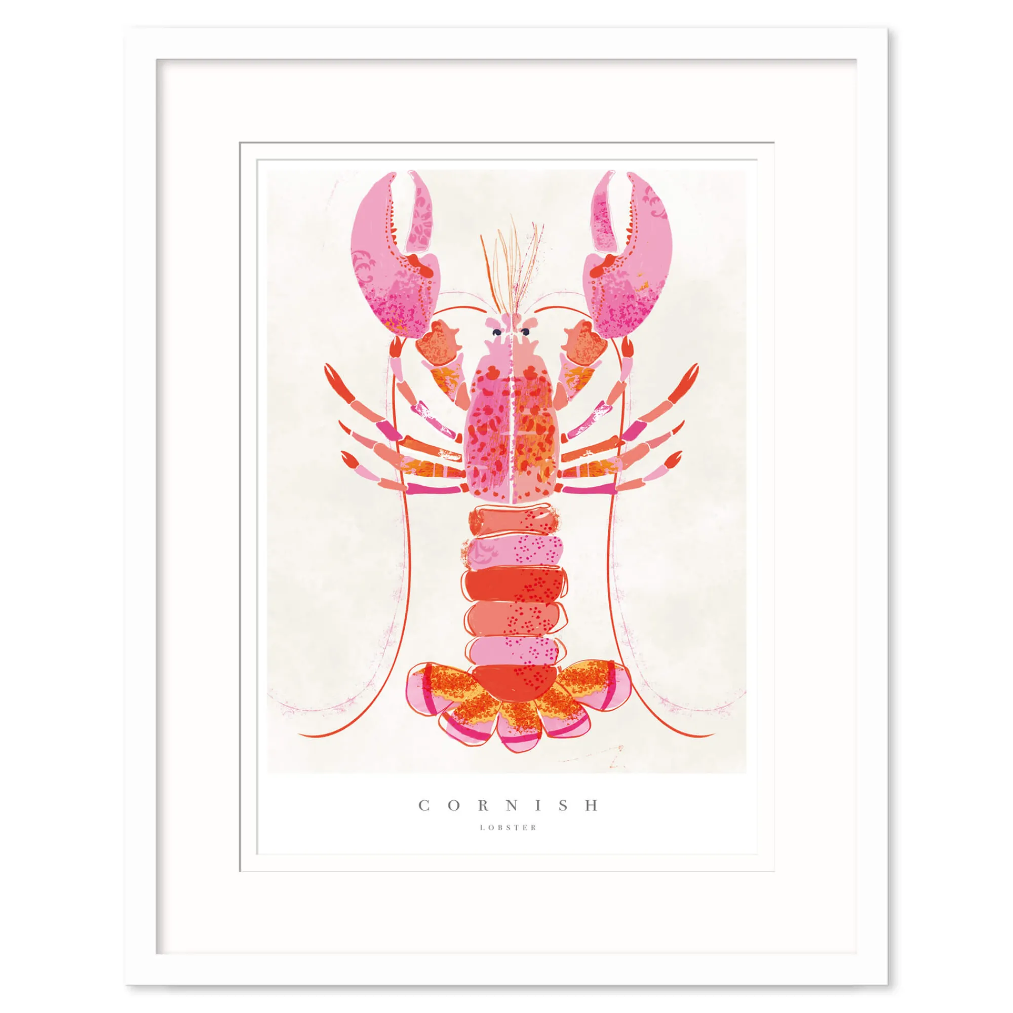 Cornwall|Sea Creatures*Whistlefish Cornish Lobster Medium Framed Print