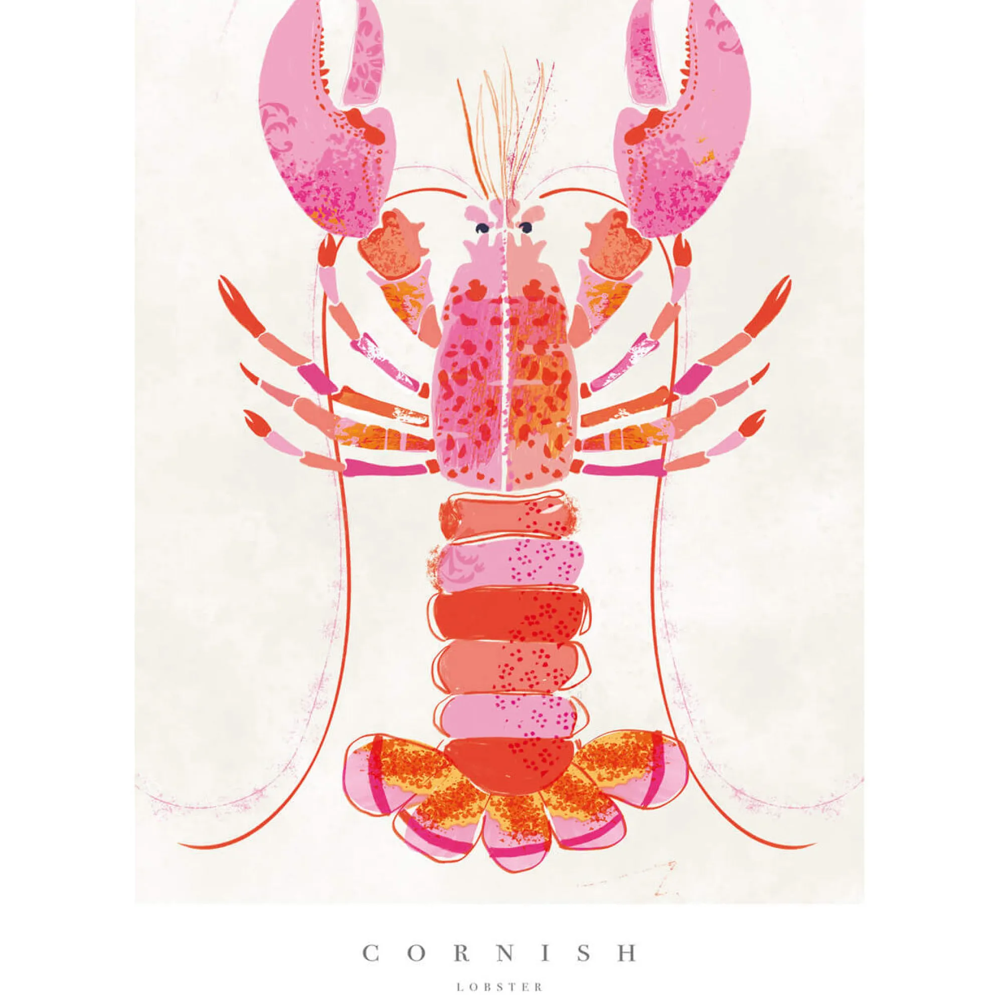 Sea Creatures|Unframed Prints*Whistlefish Cornish Lobster Small Art Print