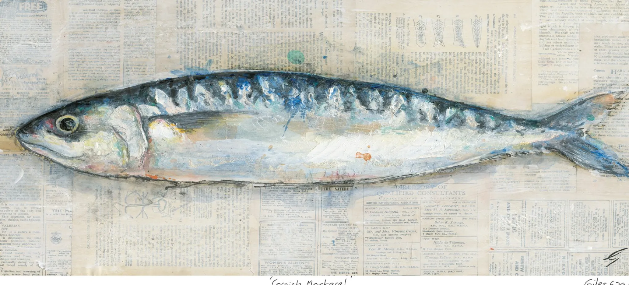 Unframed Prints*Whistlefish Cornish Mackerel Art Print