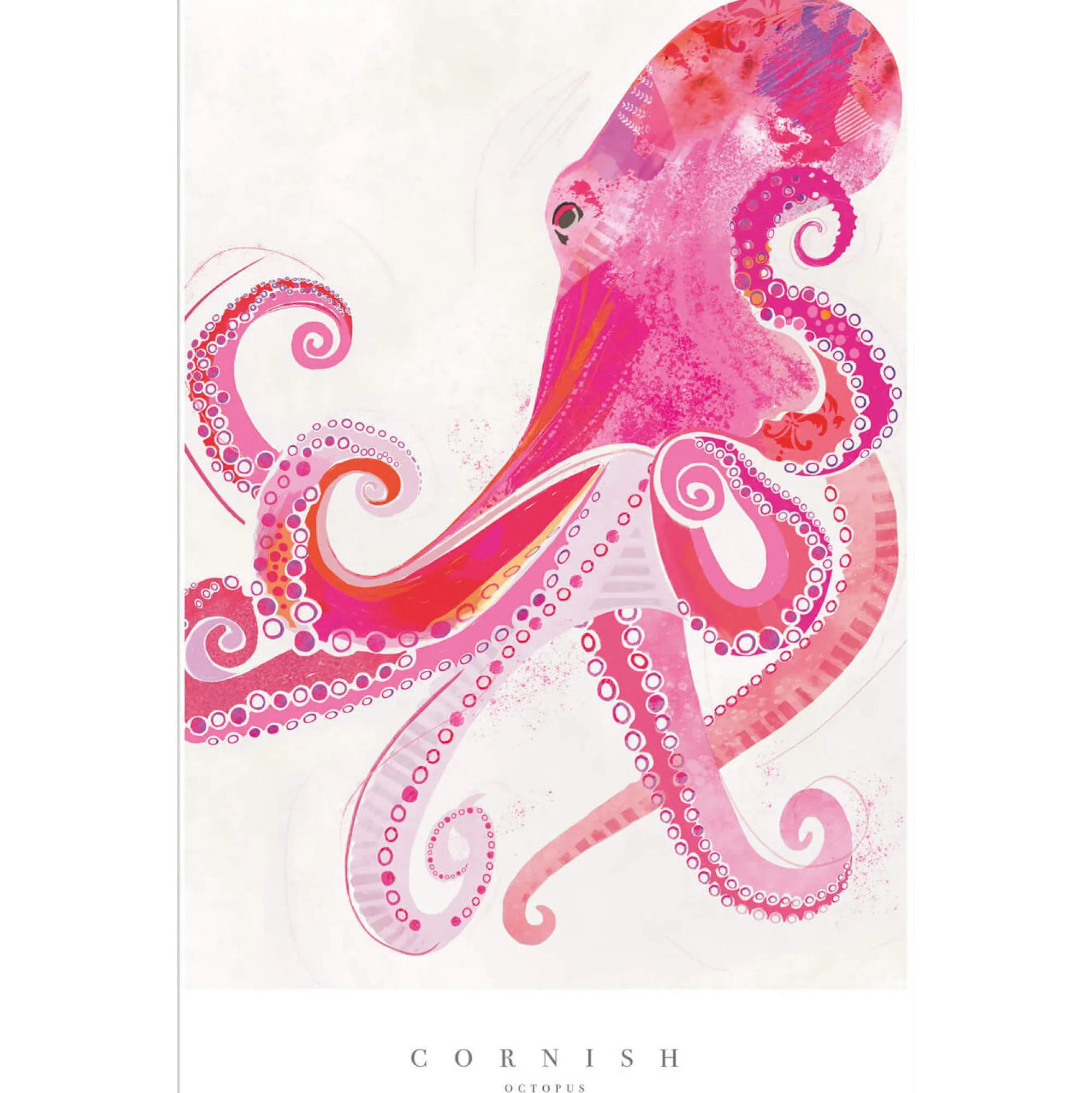 Sea Creatures|Unframed Prints*Whistlefish Cornish Octopus Large Art Print