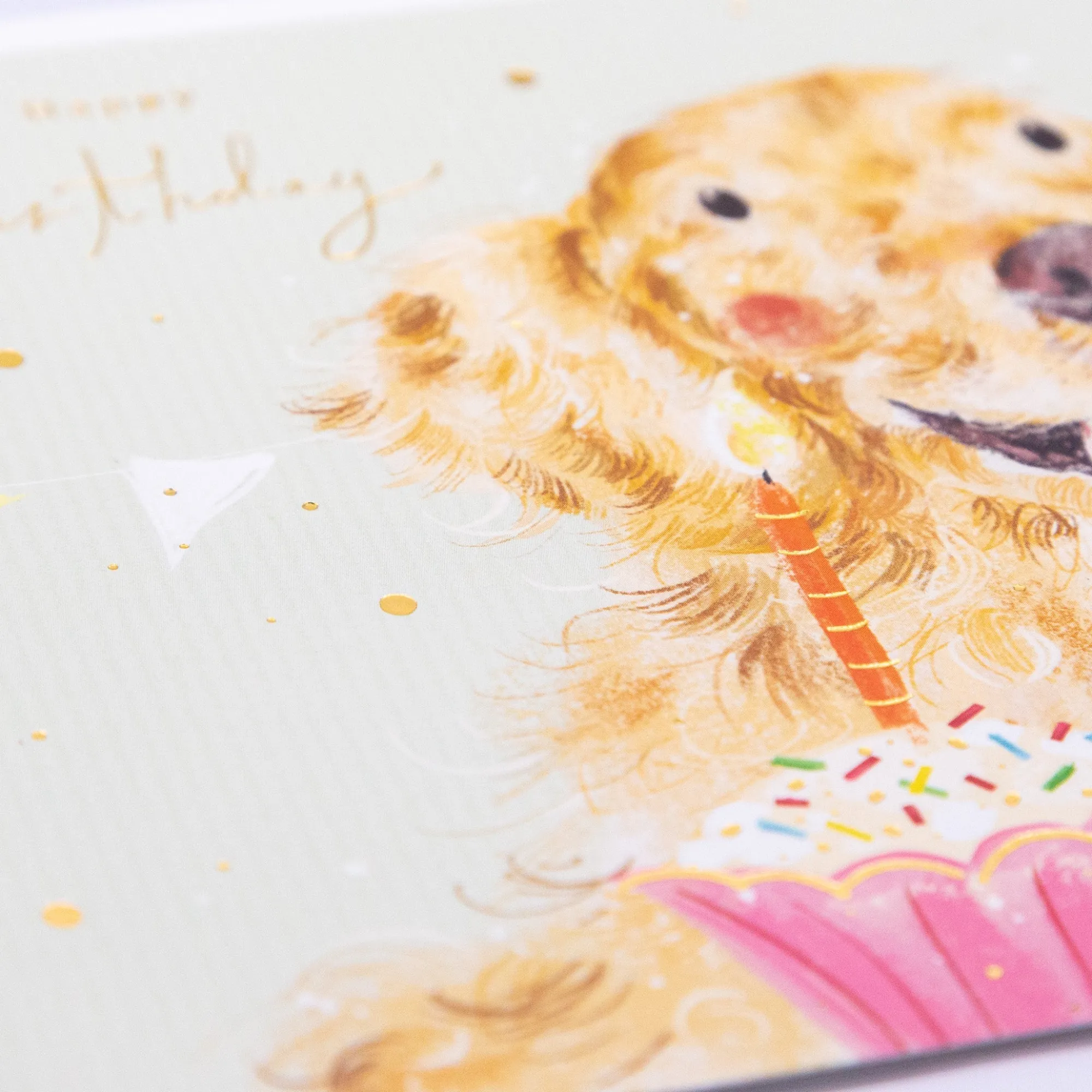 Birthday|For Children*Whistlefish Cupcake Labrador Birthday Card