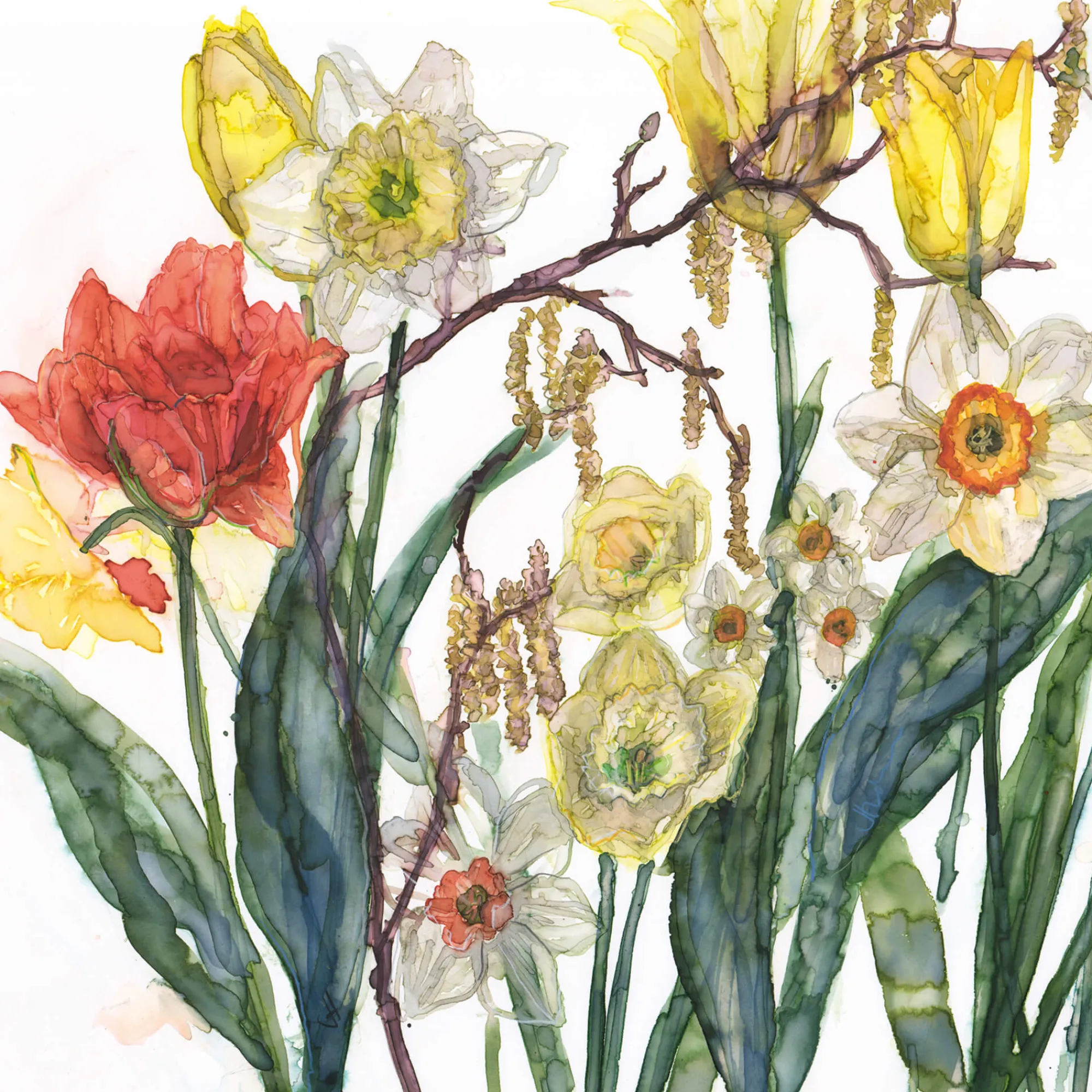 Unframed Prints*Whistlefish Daffodils And Catkins Art Print
