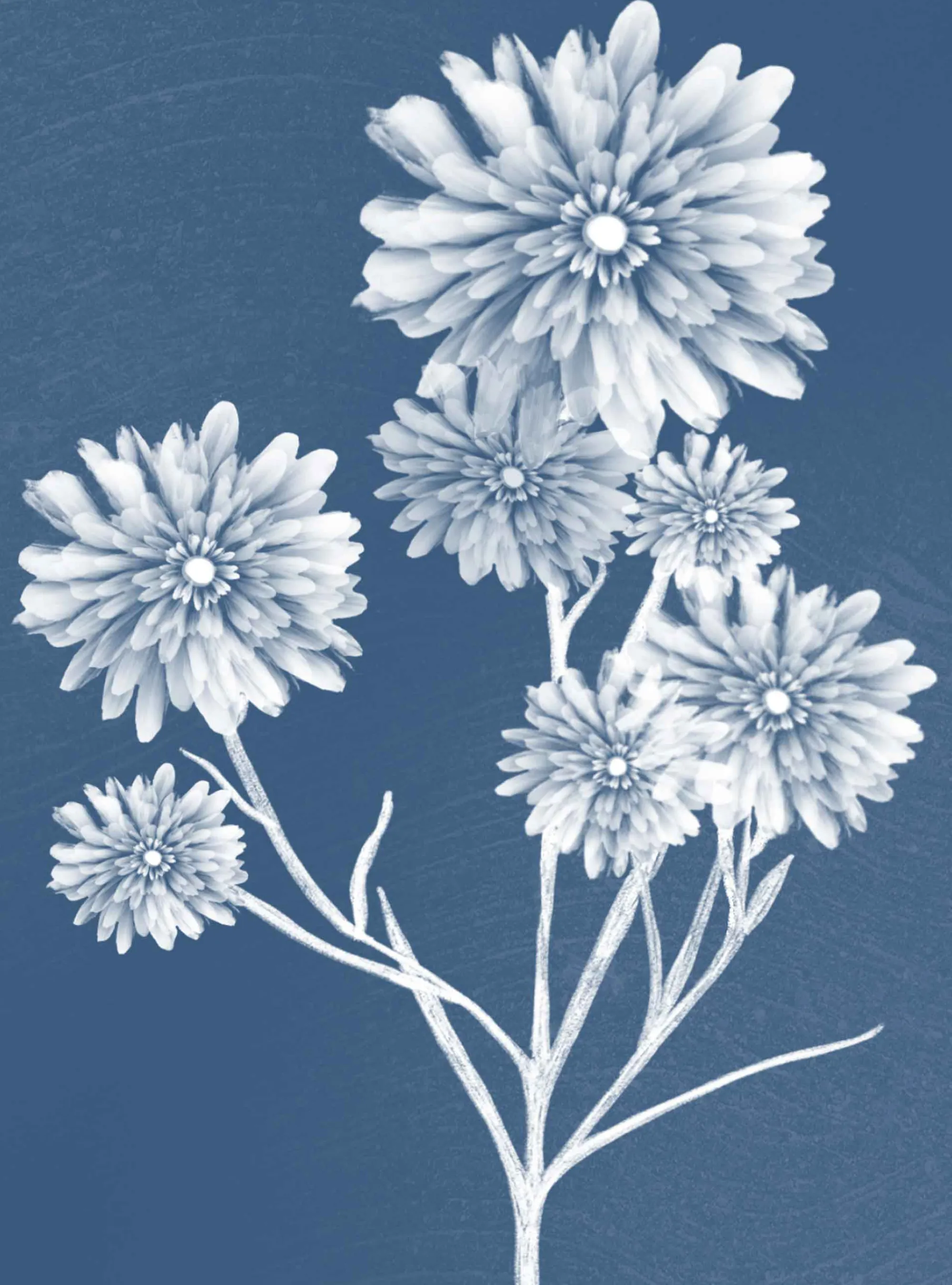 Unframed Prints*Whistlefish Dahlia Medium Art Print