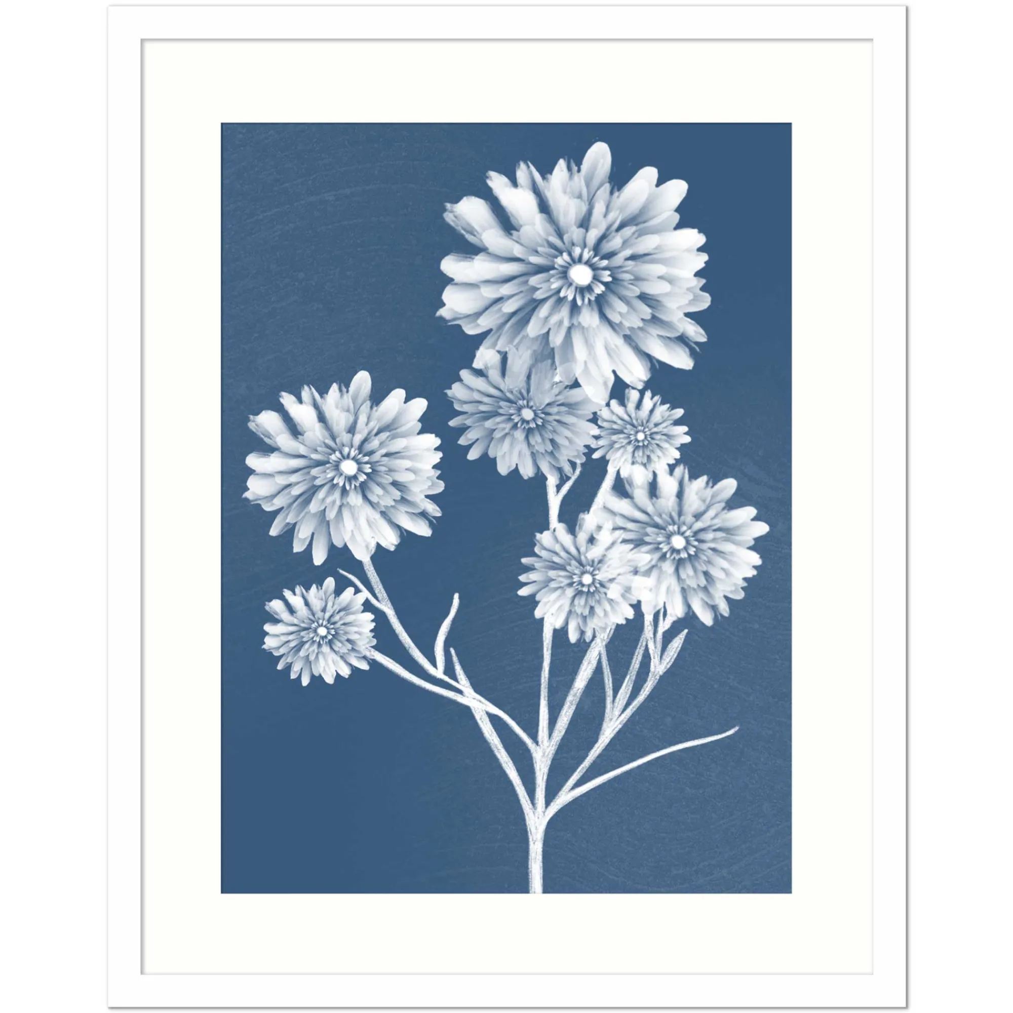 Framed Prints*Whistlefish Dahlia Medium Framed Print