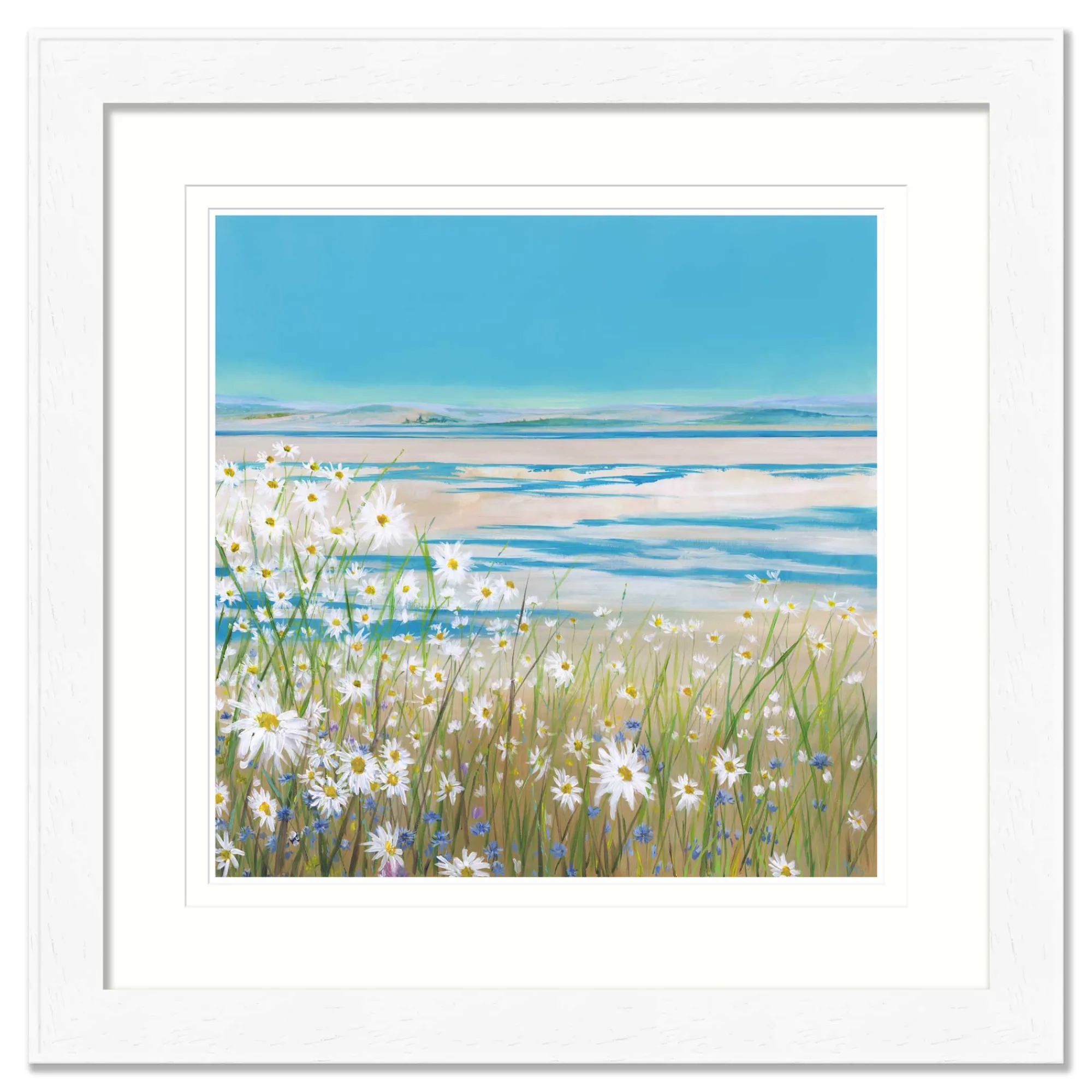 Floral & Flowers|Coastal Scenes*Whistlefish Daisy Bank