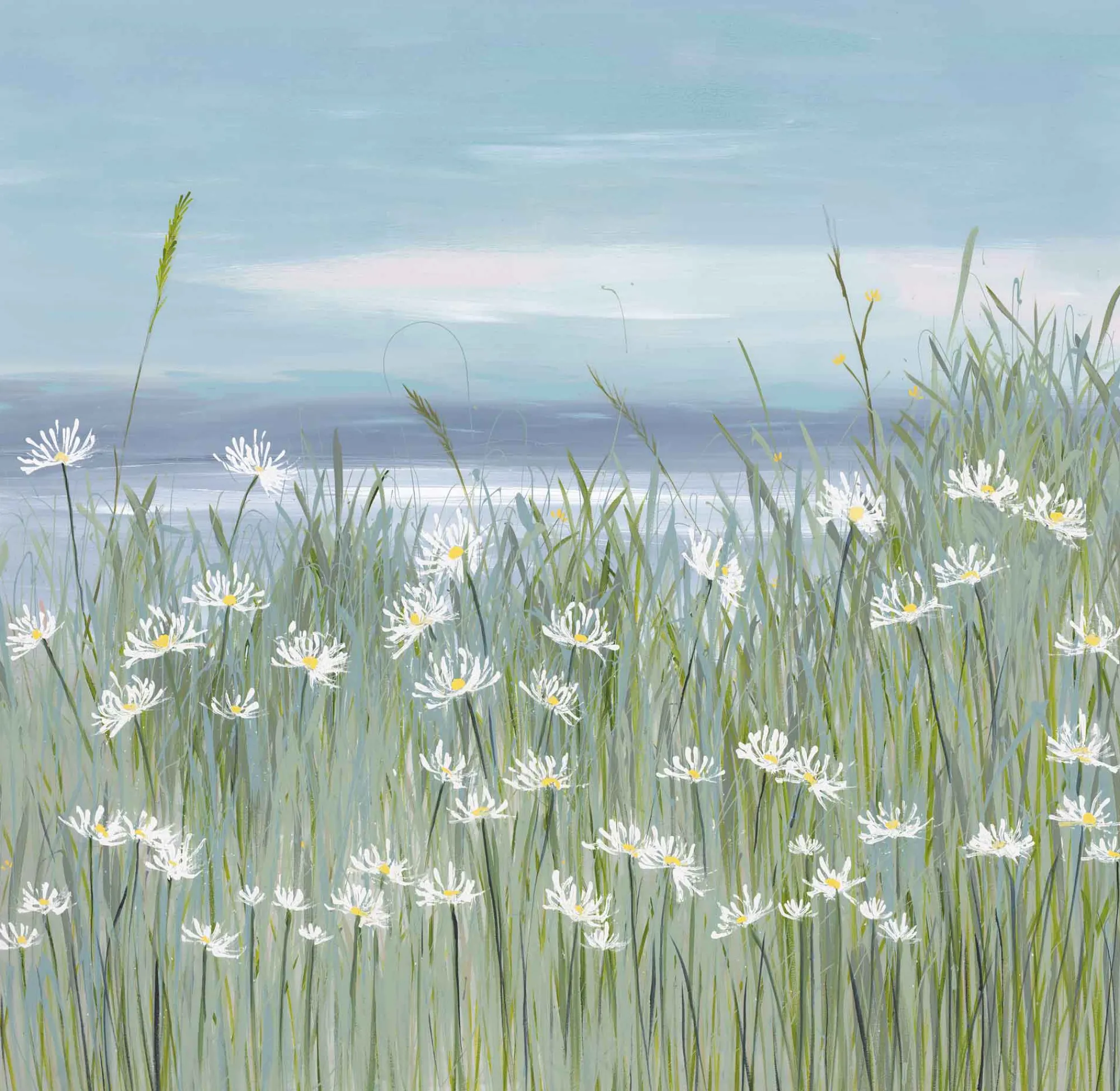 Unframed Prints*Whistlefish Daisy Daisy Med Art Print