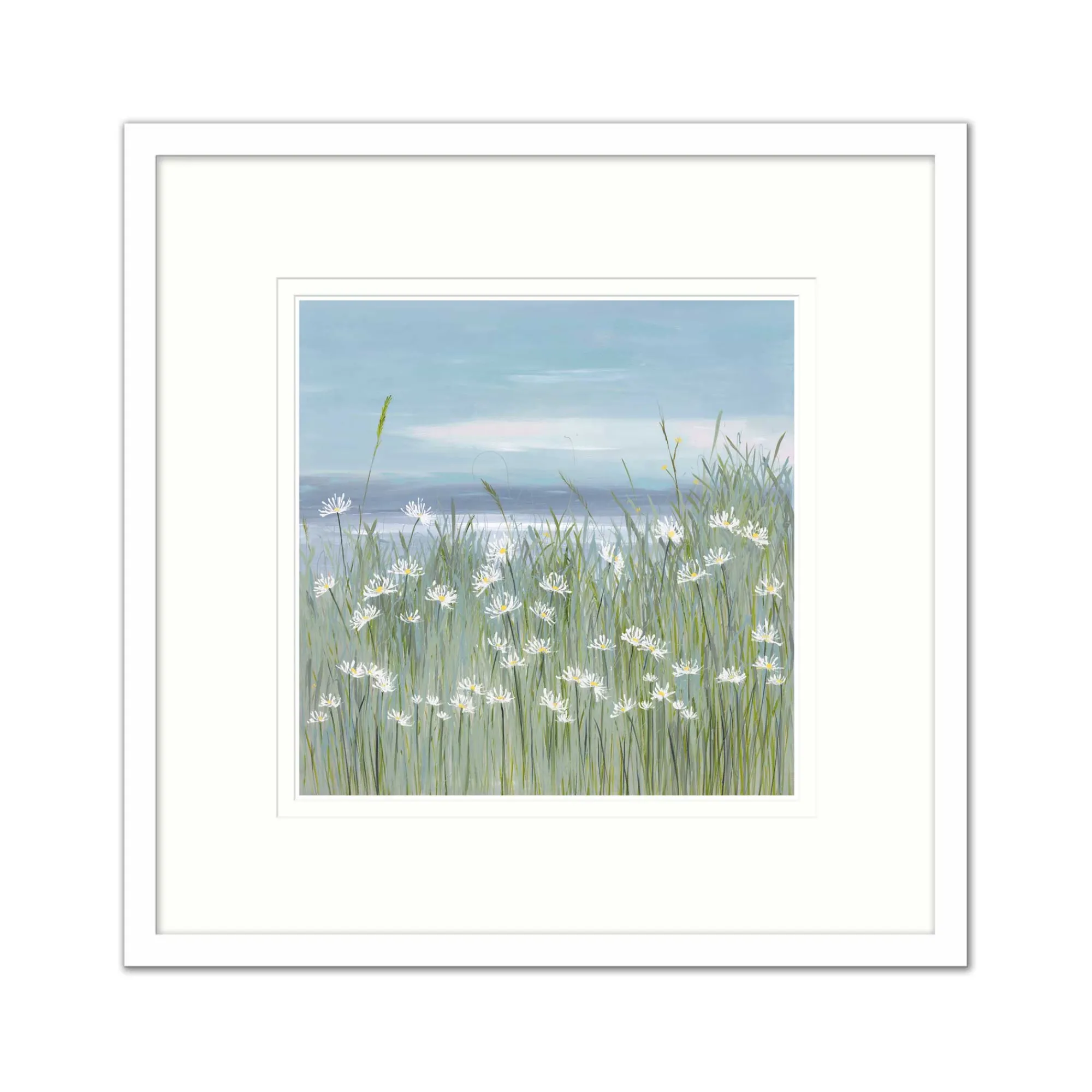 Coastal Scenes|Framed Prints*Whistlefish Daisy Daisy Medium Framed Print