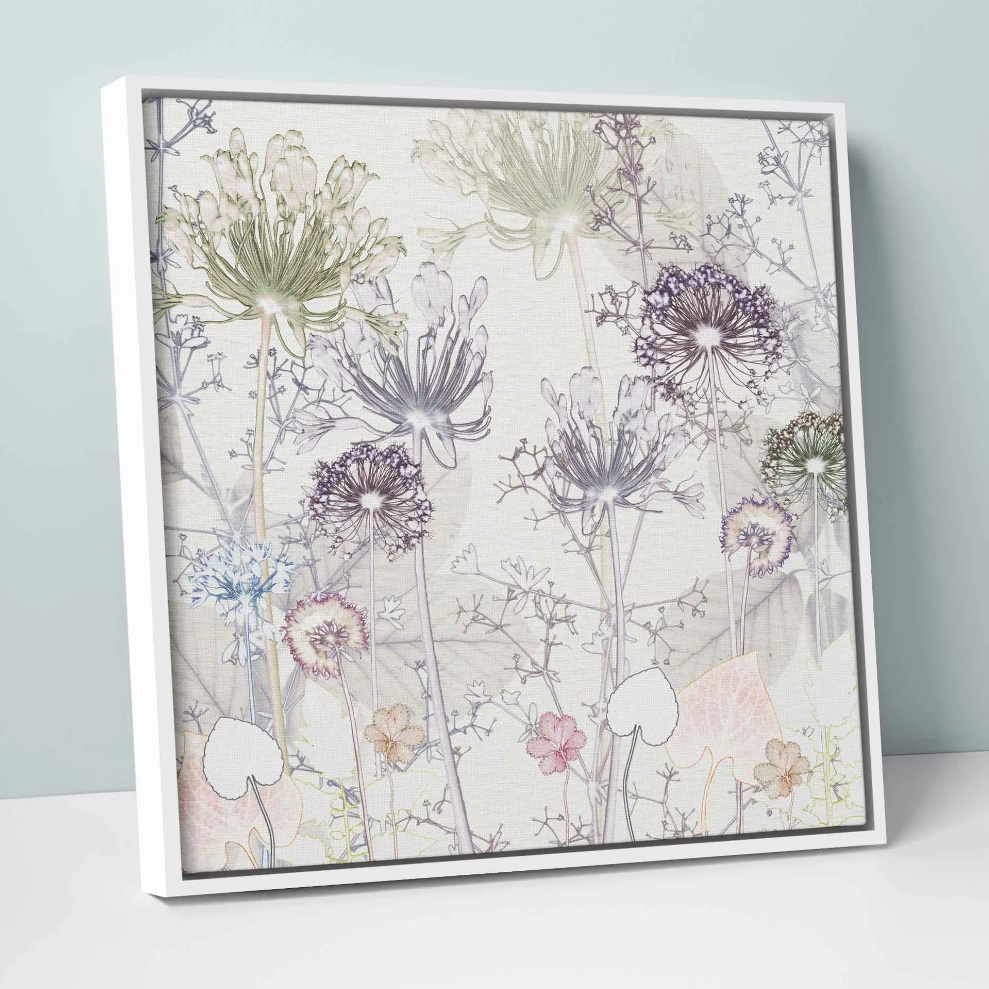 Floral & Flowers|Framed Canvas*Whistlefish Delicate Agapanthus Framed Canvas