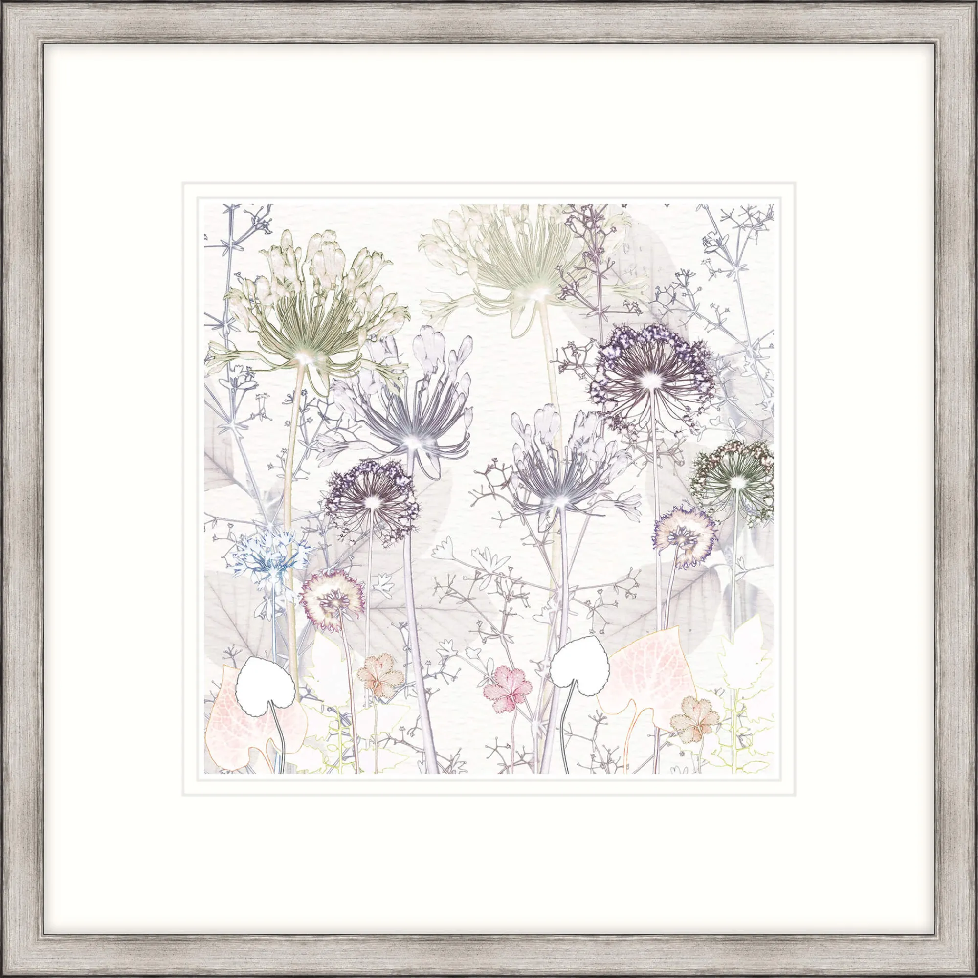 Floral & Flowers|Framed Prints*Whistlefish Delicate Agapanthus Framed Print