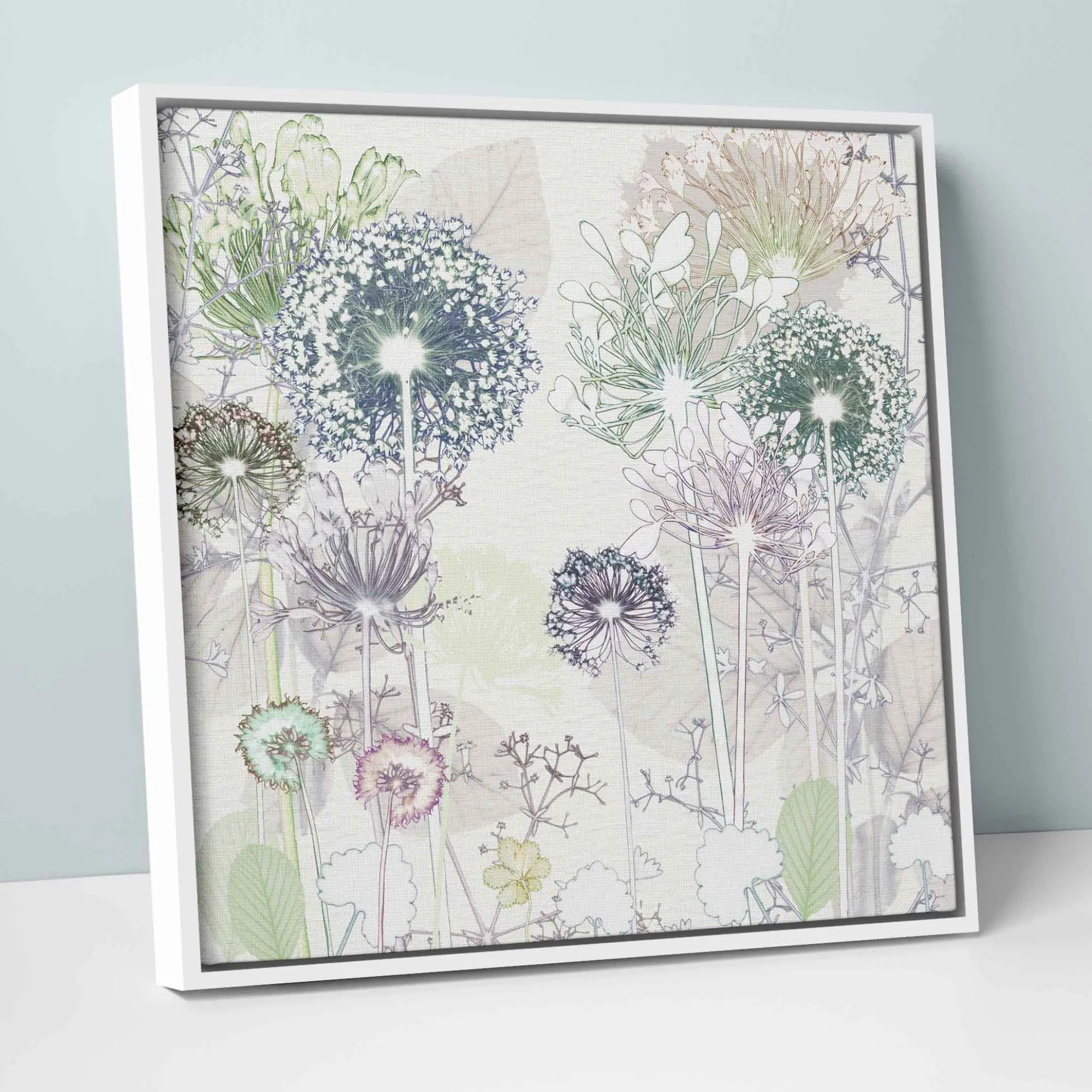 Floral & Flowers|Framed Canvas*Whistlefish Delicate Allium Framed Canvas