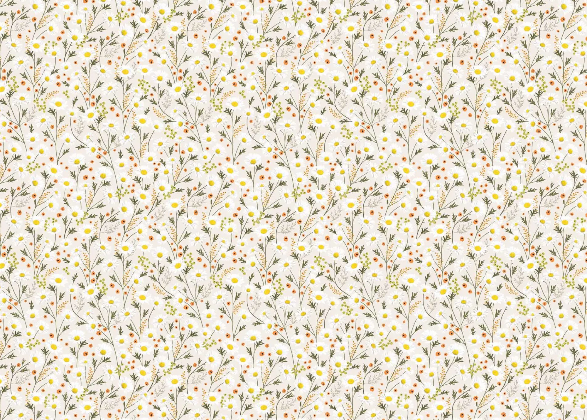 Gift Wrap|Birthday*Whistlefish Delicate Daisy Wrapping Paper