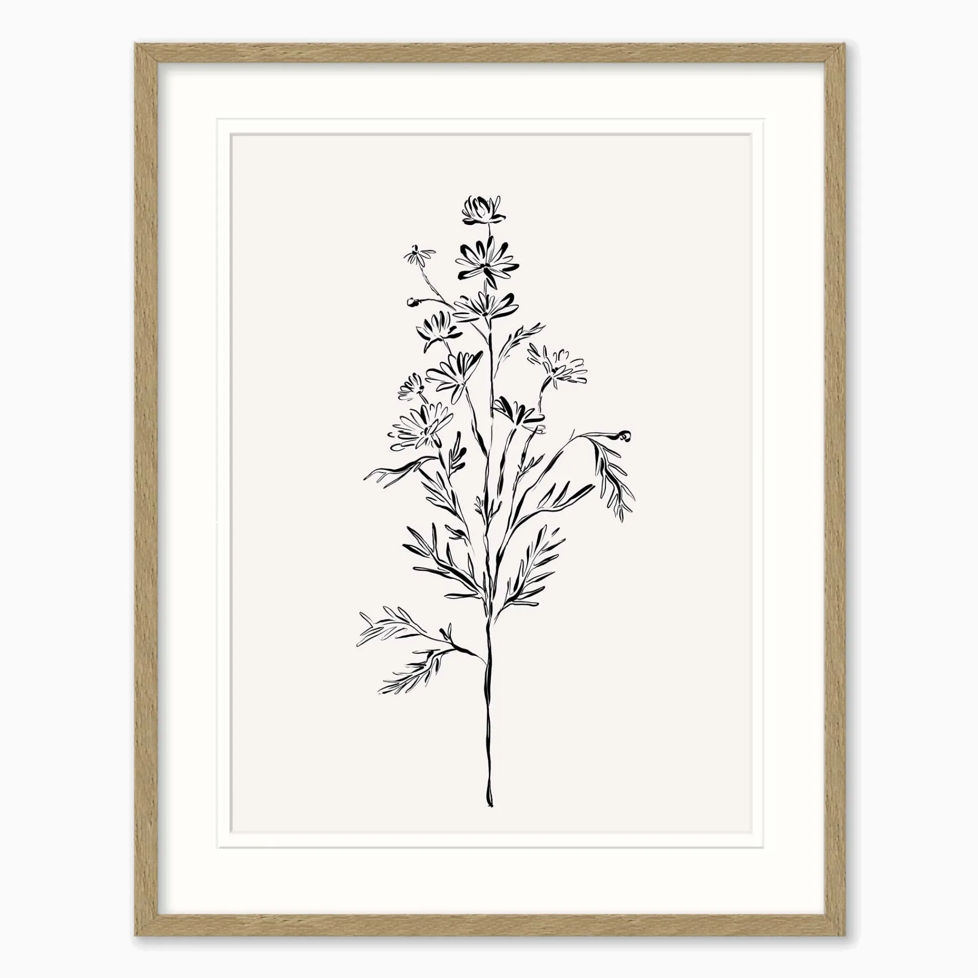 Floral & Flowers|Framed Prints*Whistlefish Elegant Floral Framed Print