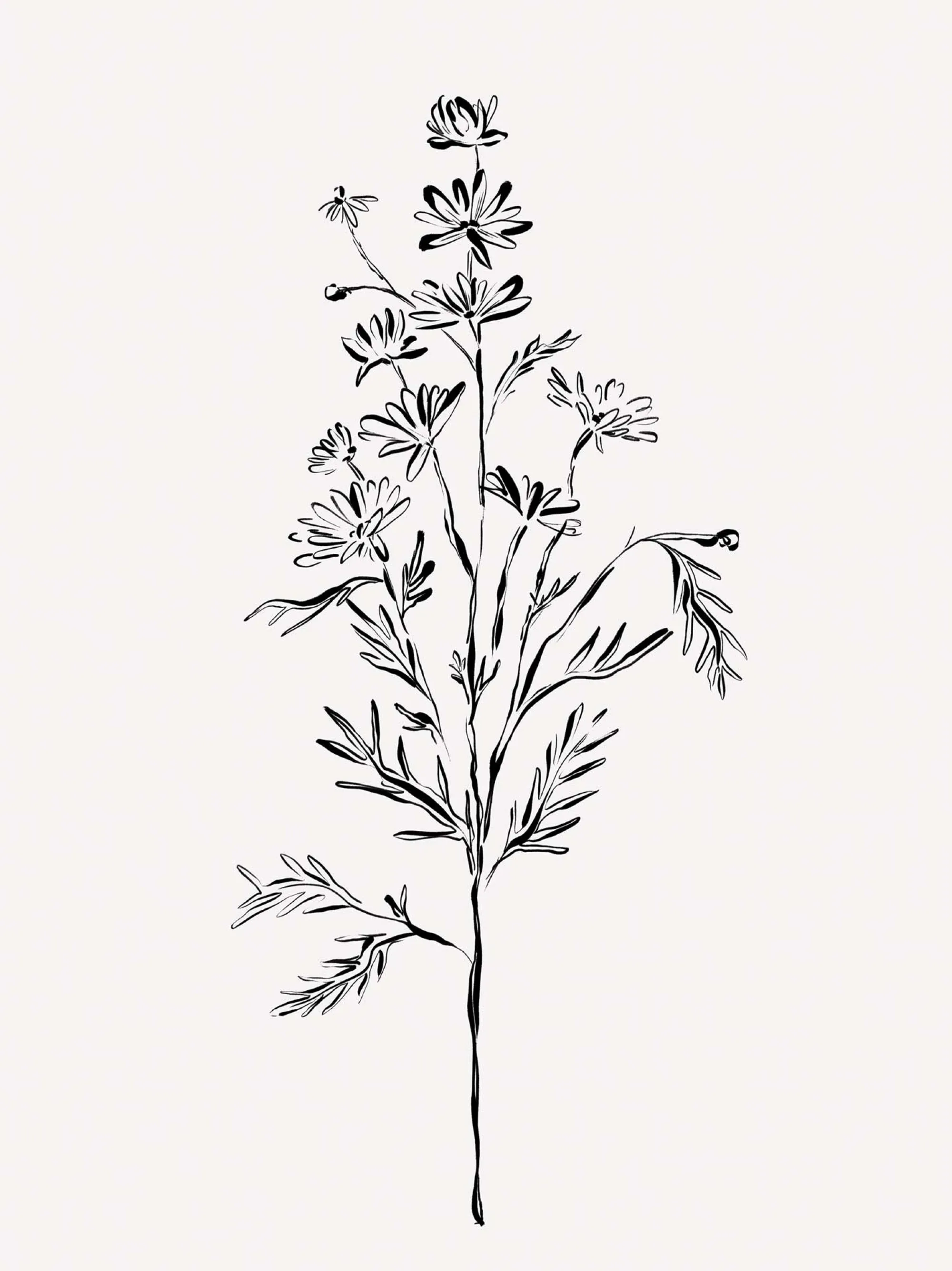 Floral & Flowers|Framed Prints*Whistlefish Elegant Floral Framed Print