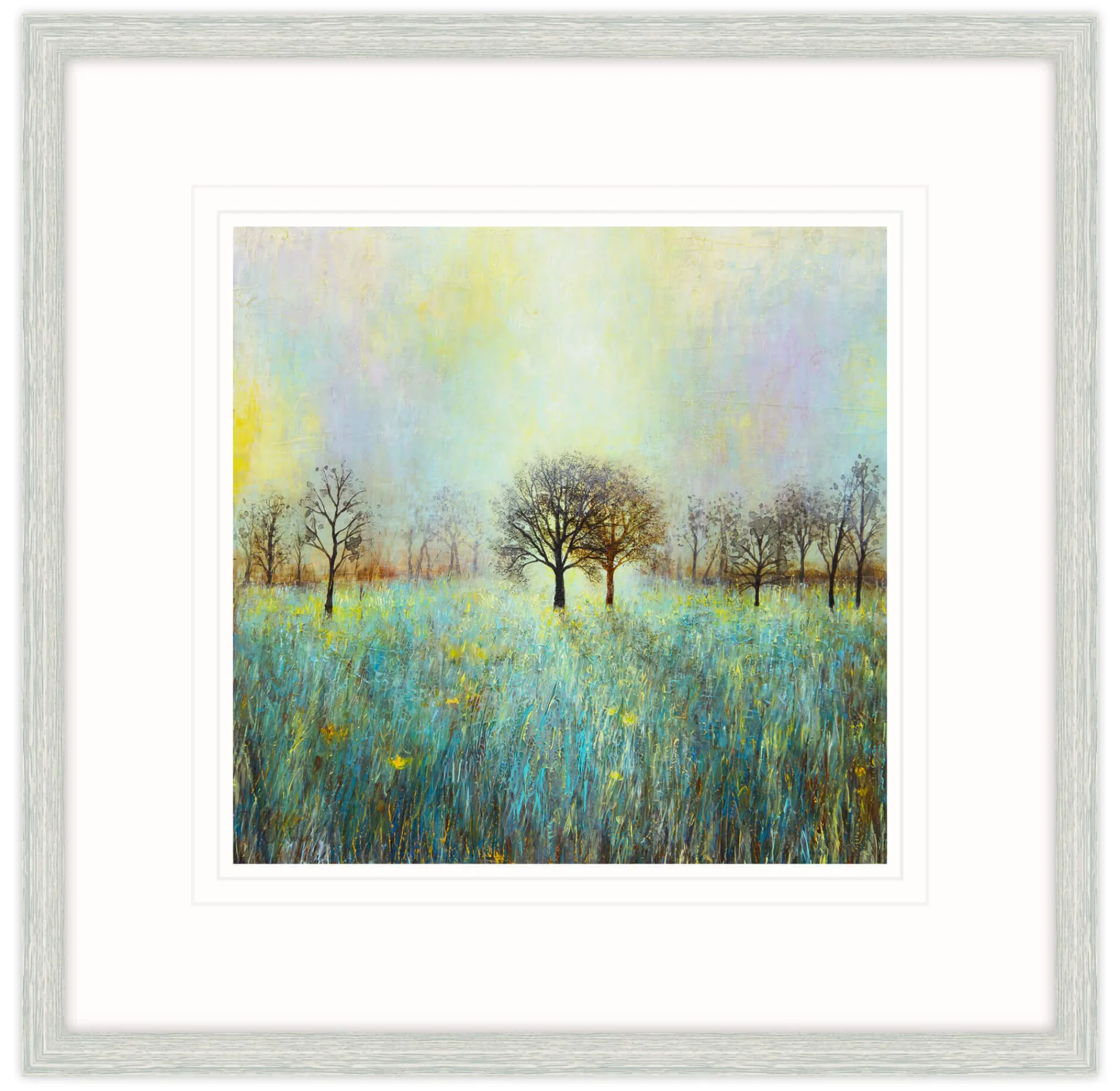 Framed Prints*Whistlefish Evening Shadow Framed Print