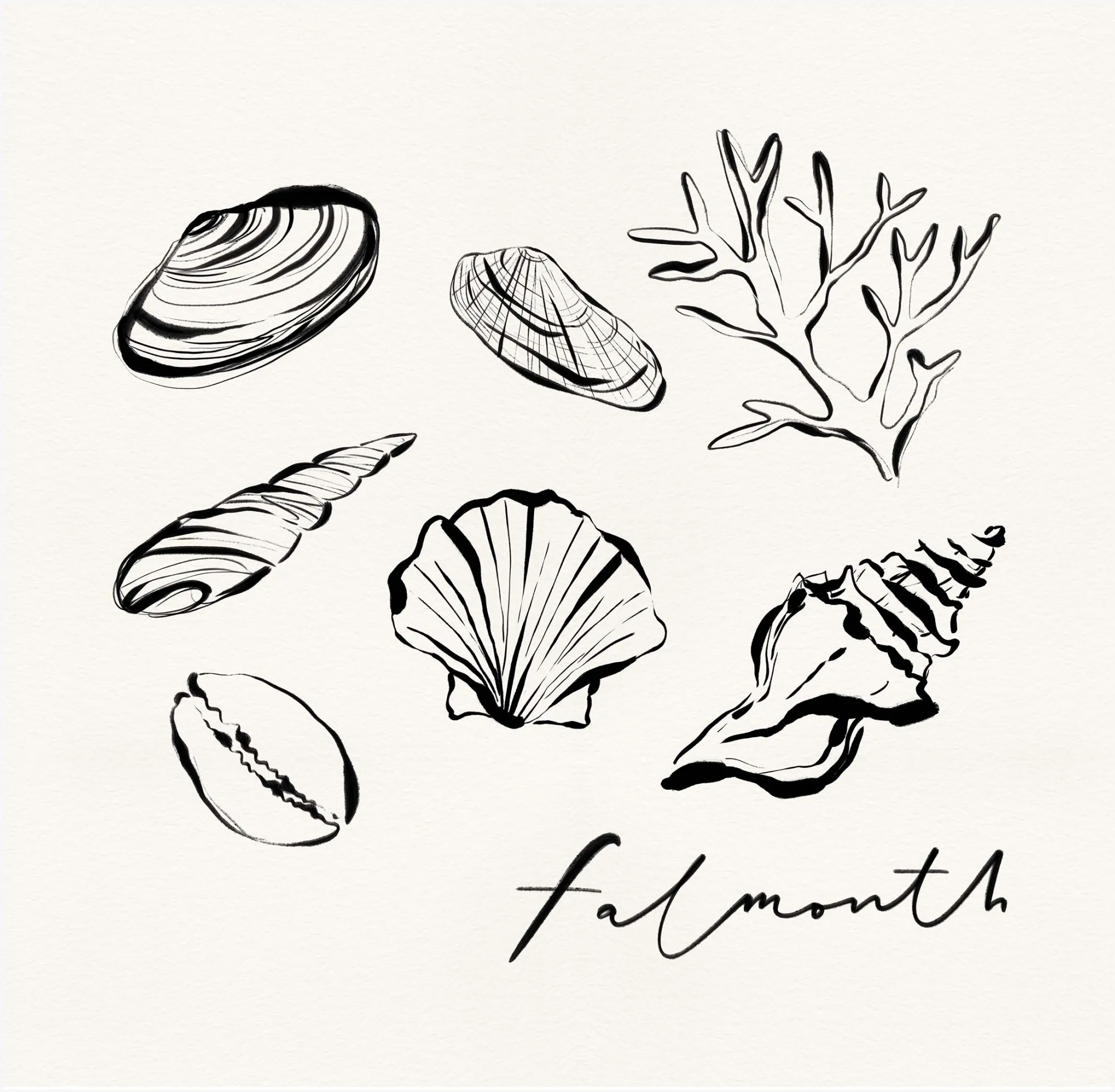 Unframed Prints*Whistlefish Falmouth Shells Art Print