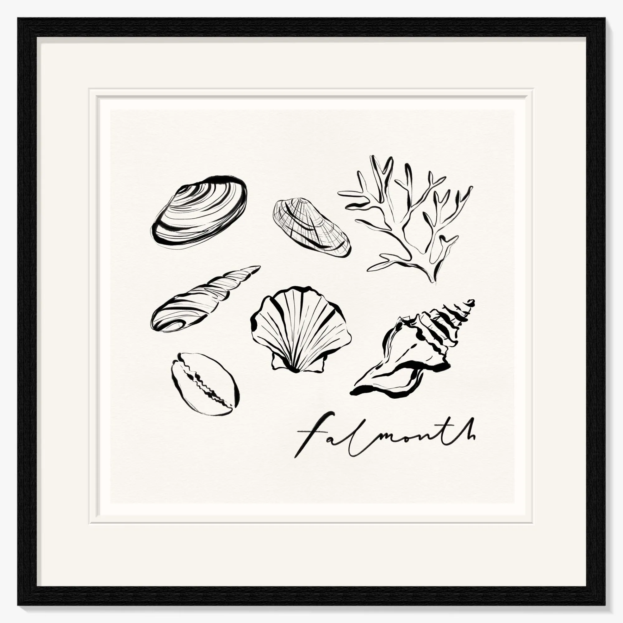 Falmouth|Cornwall*Whistlefish Falmouth Shells Framed Print