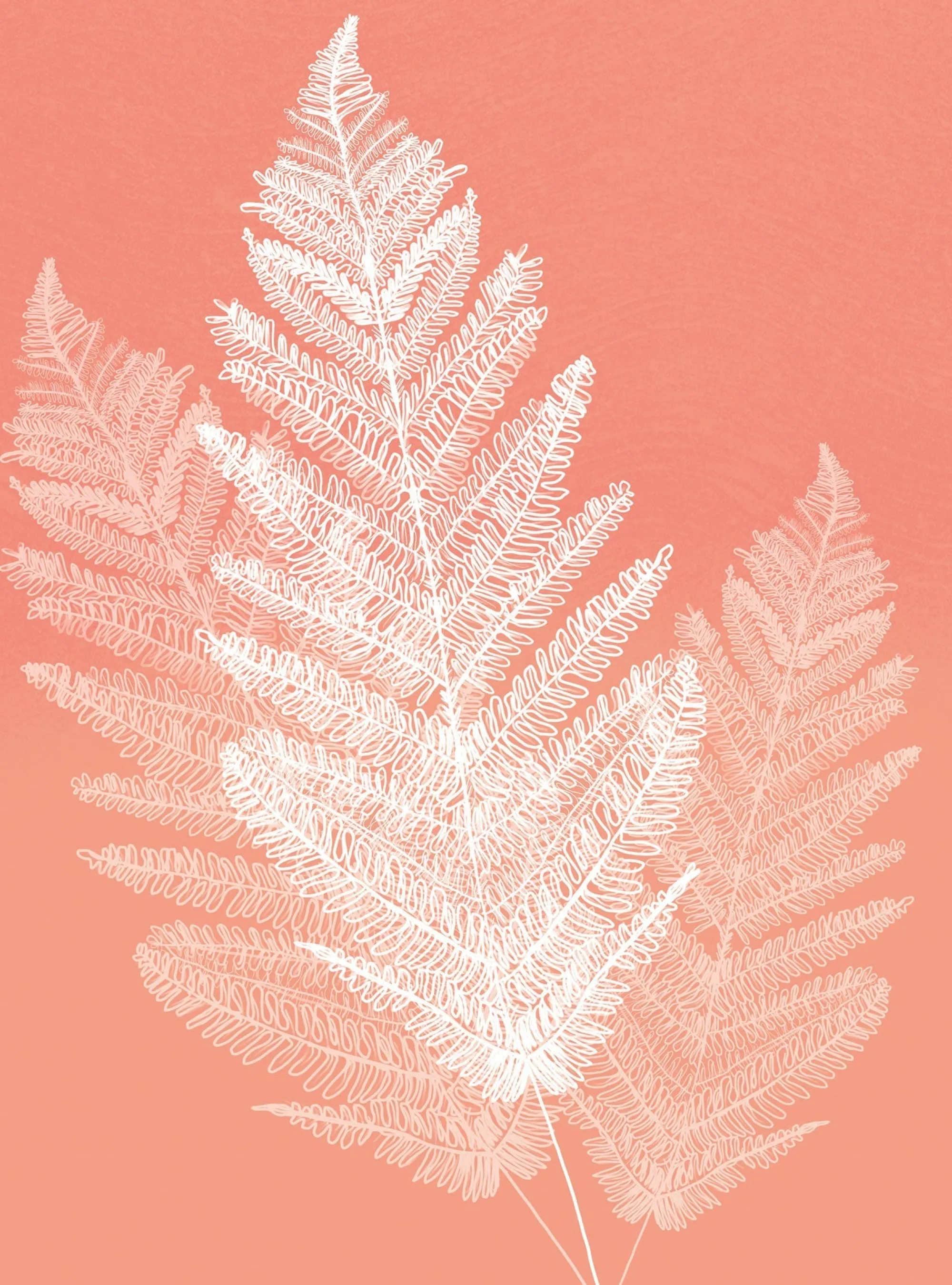 Unframed Prints*Whistlefish Fern Orange Medium Art Print