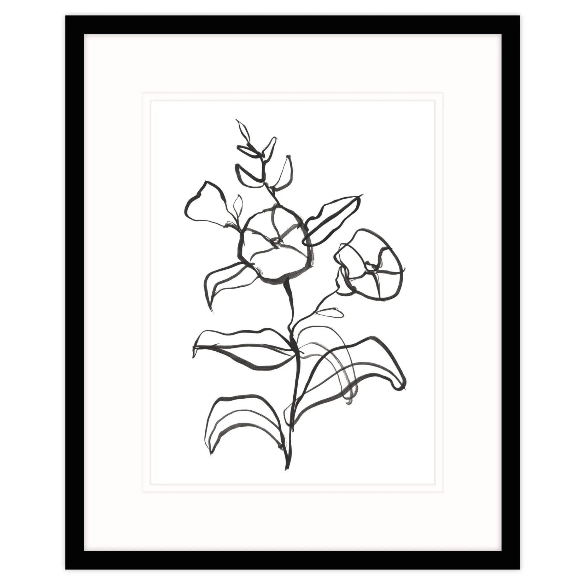 Floral & Flowers|Framed Prints*Whistlefish Floral Study Framed Print