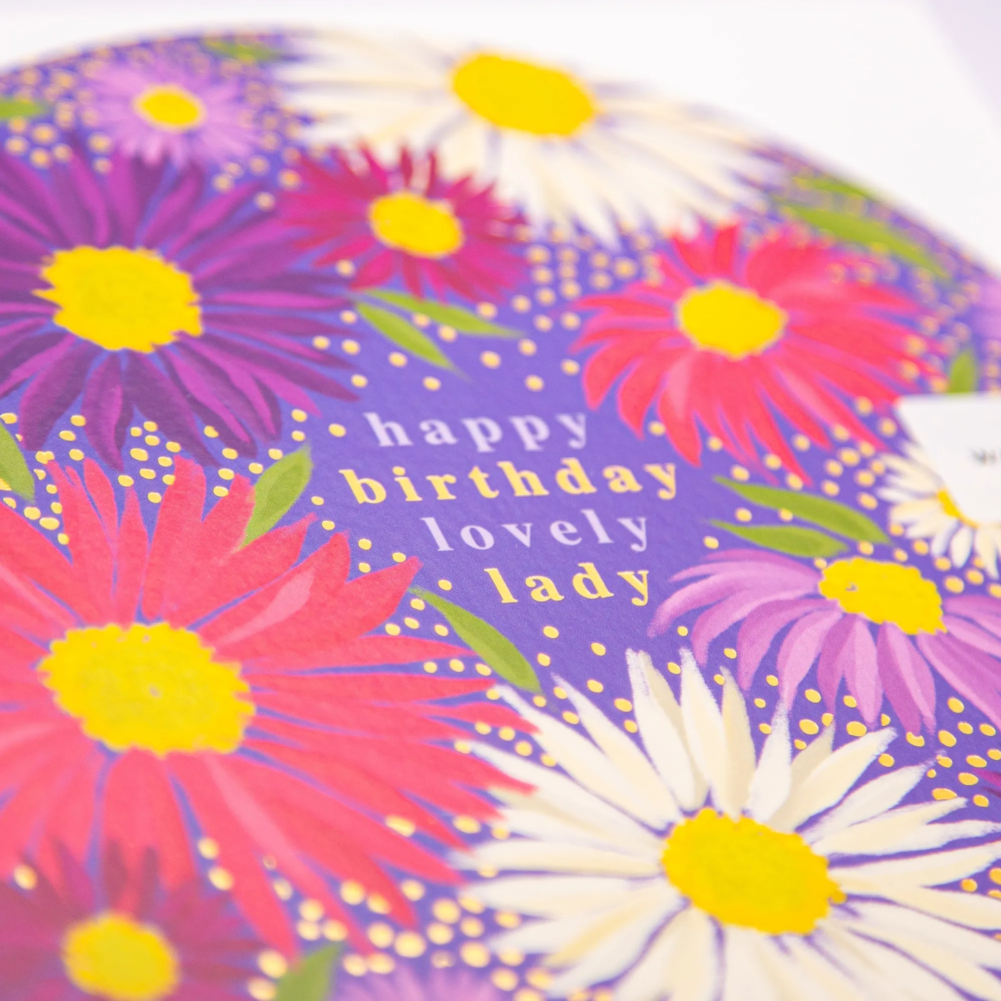 Birthday|For Her*Whistlefish Flowering Asters Birthday Arch Card