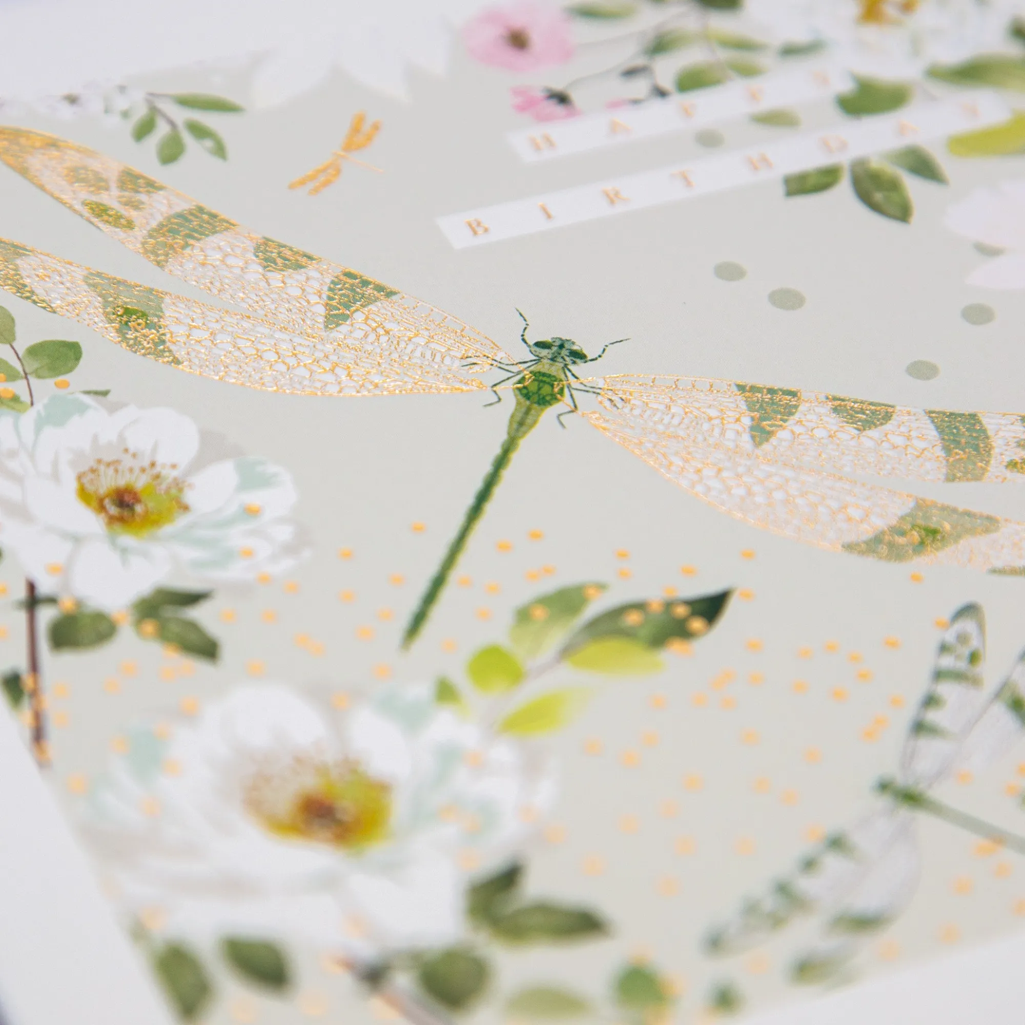 Birthday*Whistlefish Gossamer Wings Birthday Card