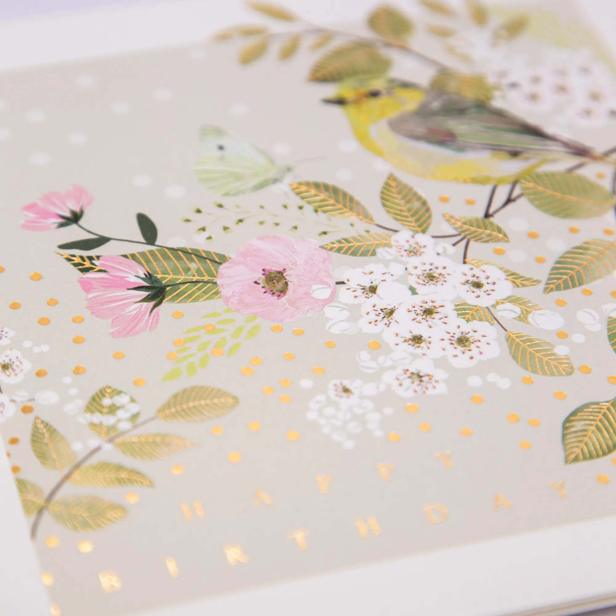 Birthday*Whistlefish Greenfinch Blossom Birthday Card