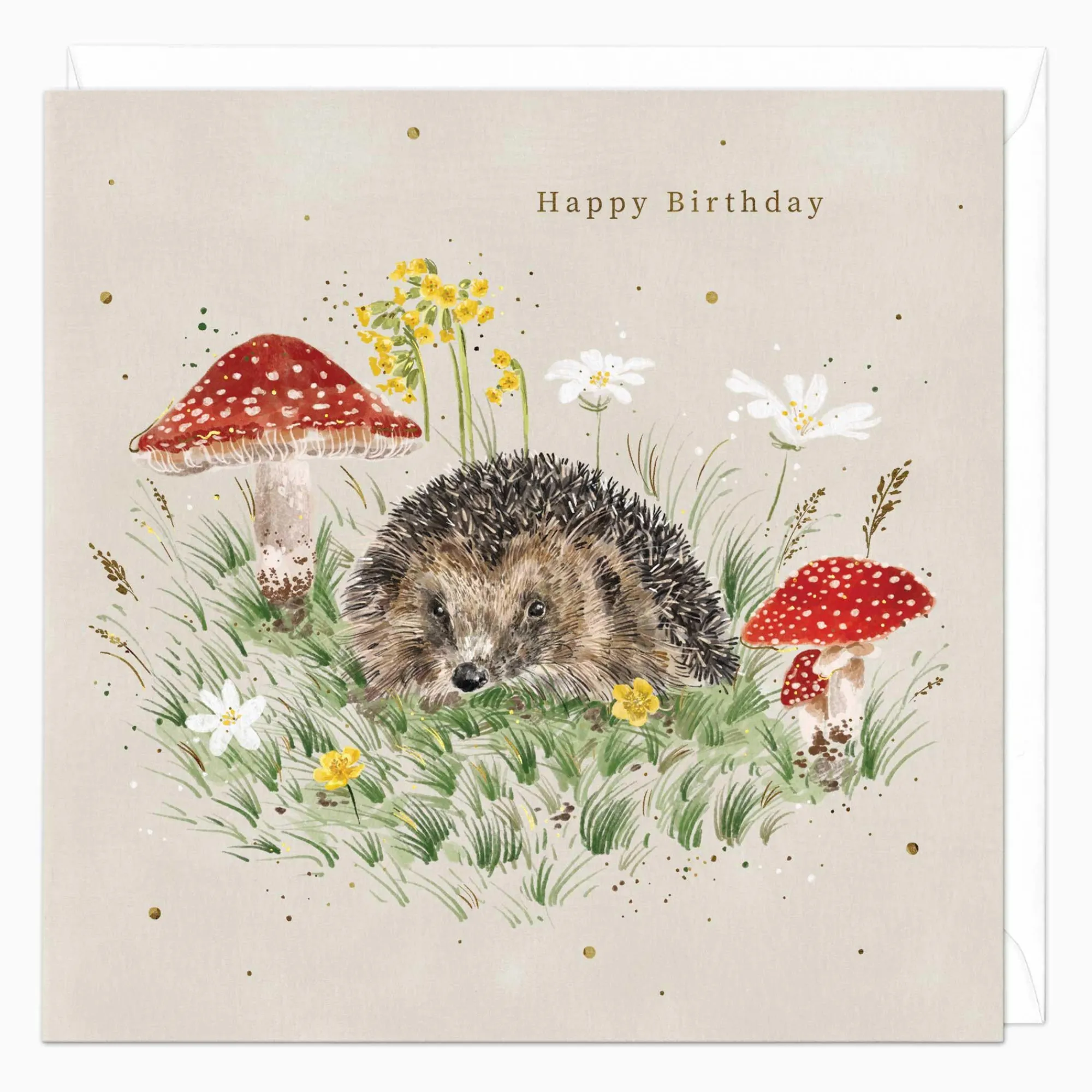 Birthday|For Children*Whistlefish Hedgehog & Mushroom Birthday Card