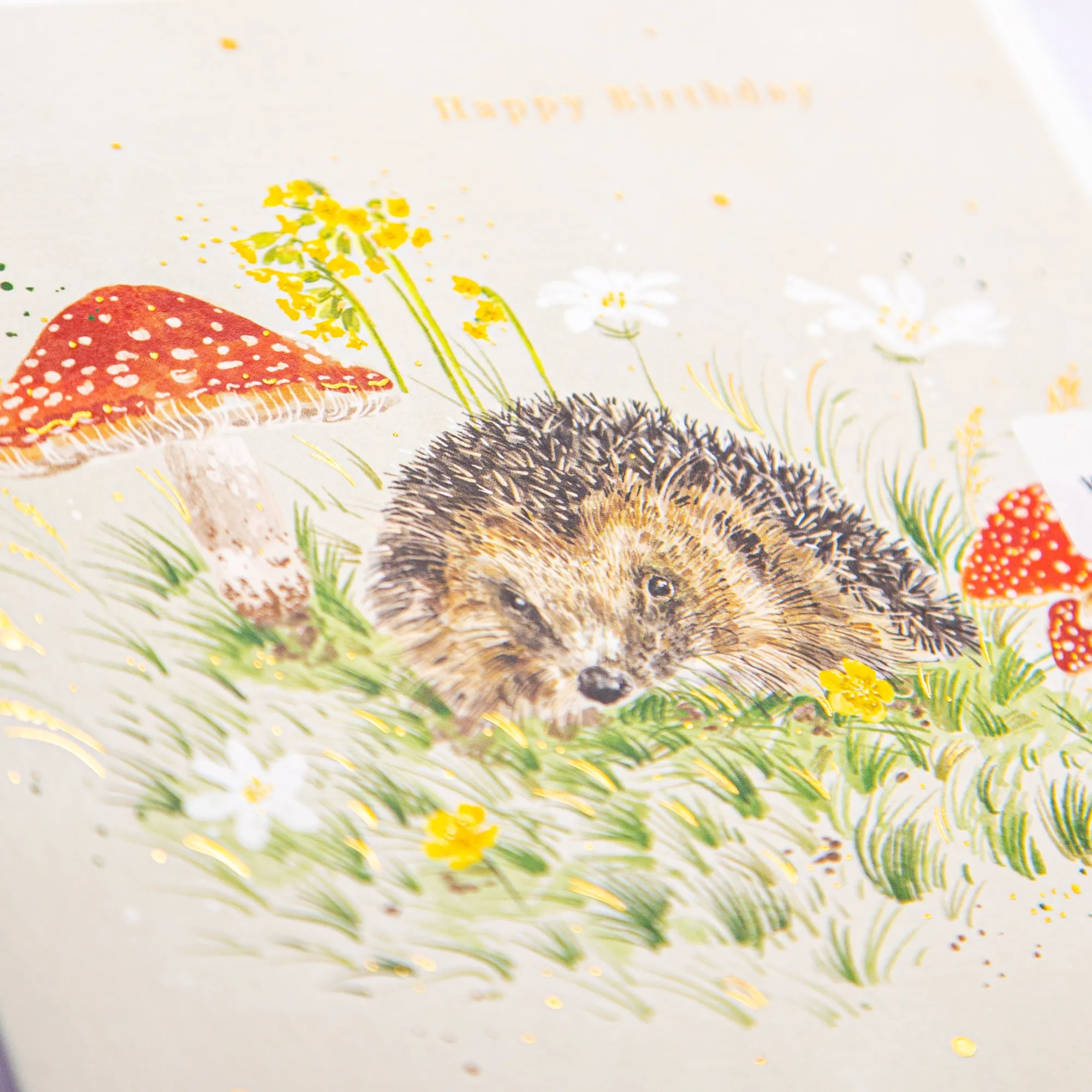 Birthday|For Children*Whistlefish Hedgehog & Mushroom Birthday Card