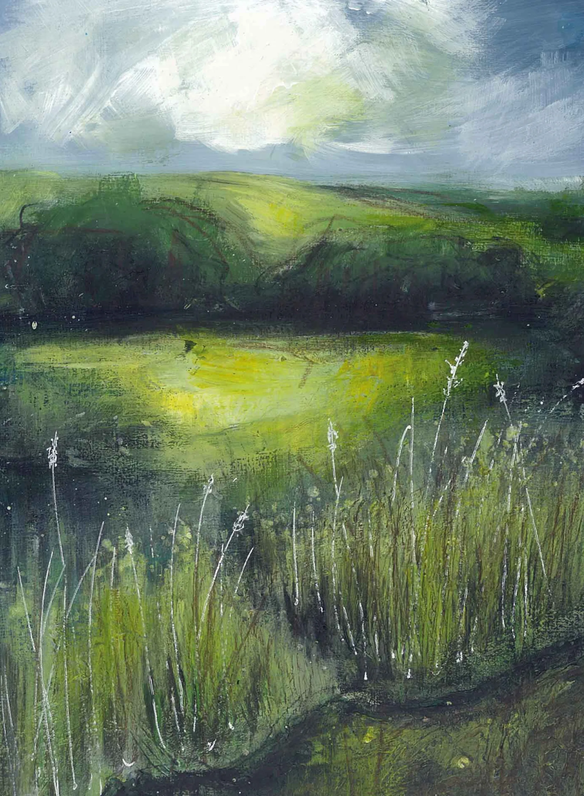 Unframed Prints*Whistlefish Hidden Gems Art Print