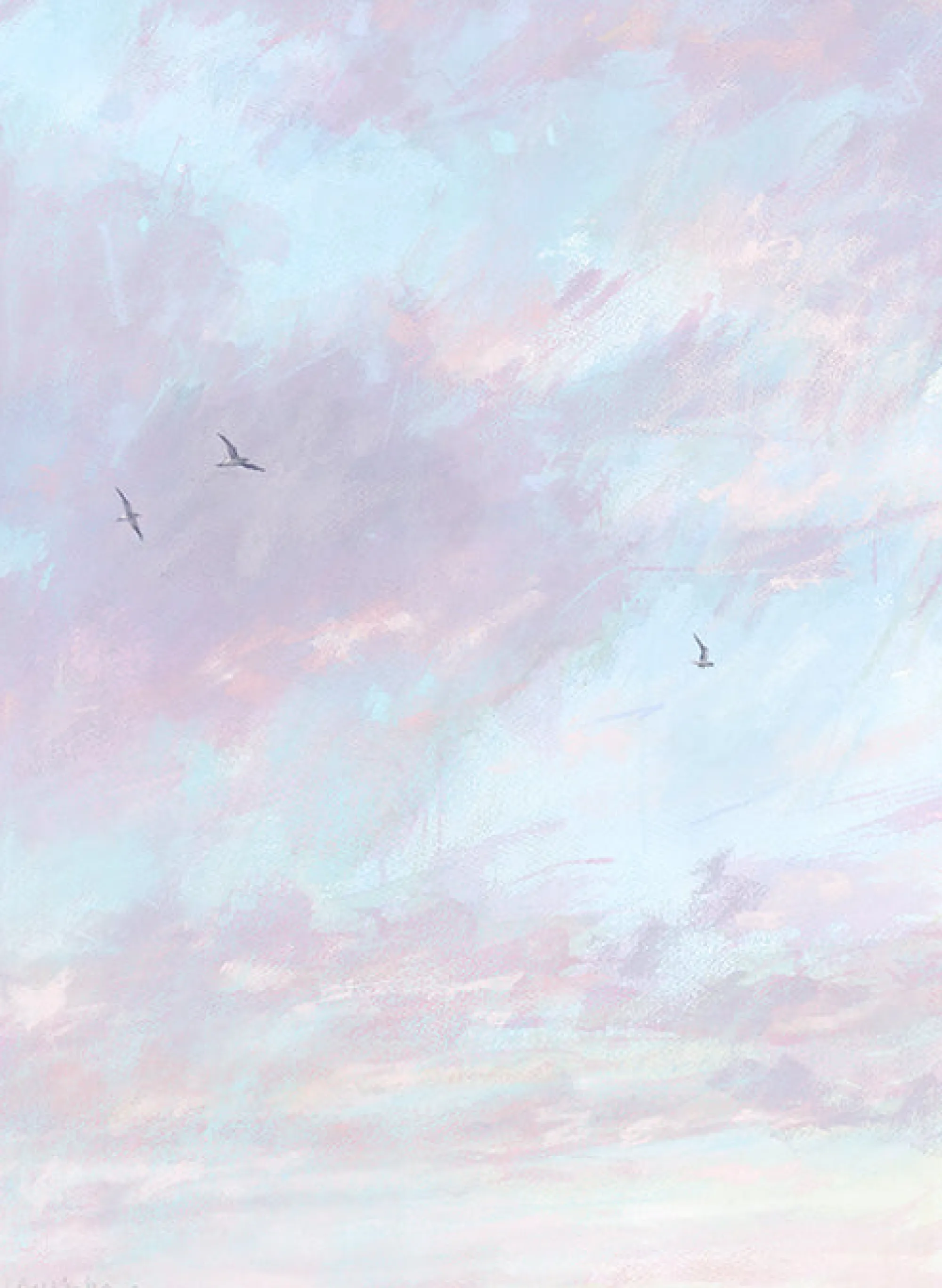 Unframed Prints*Whistlefish High Gulls, Pink Clouds Art Print