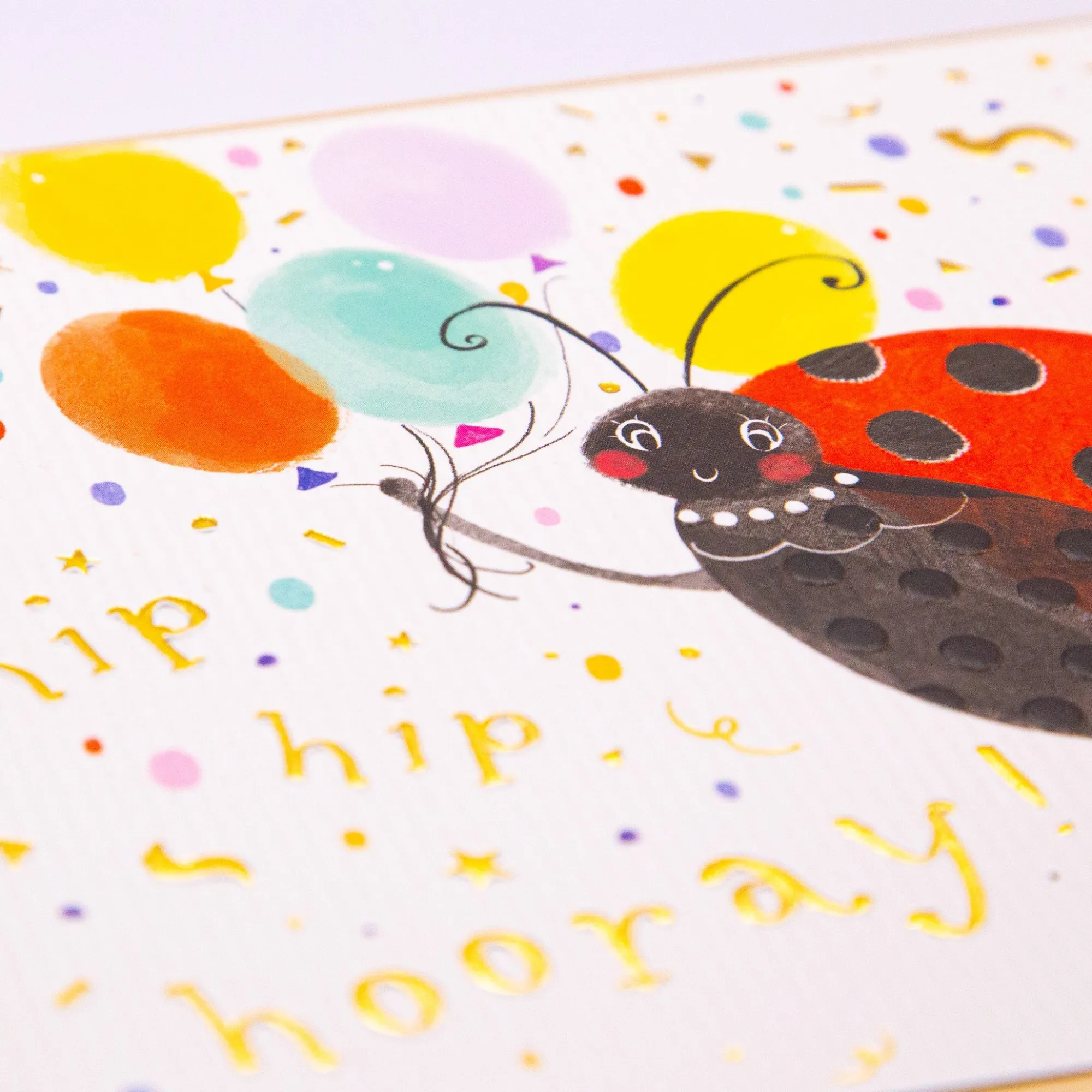 Birthday|For Children*Whistlefish Hip Hip Hooray Ladybird Birthday Card