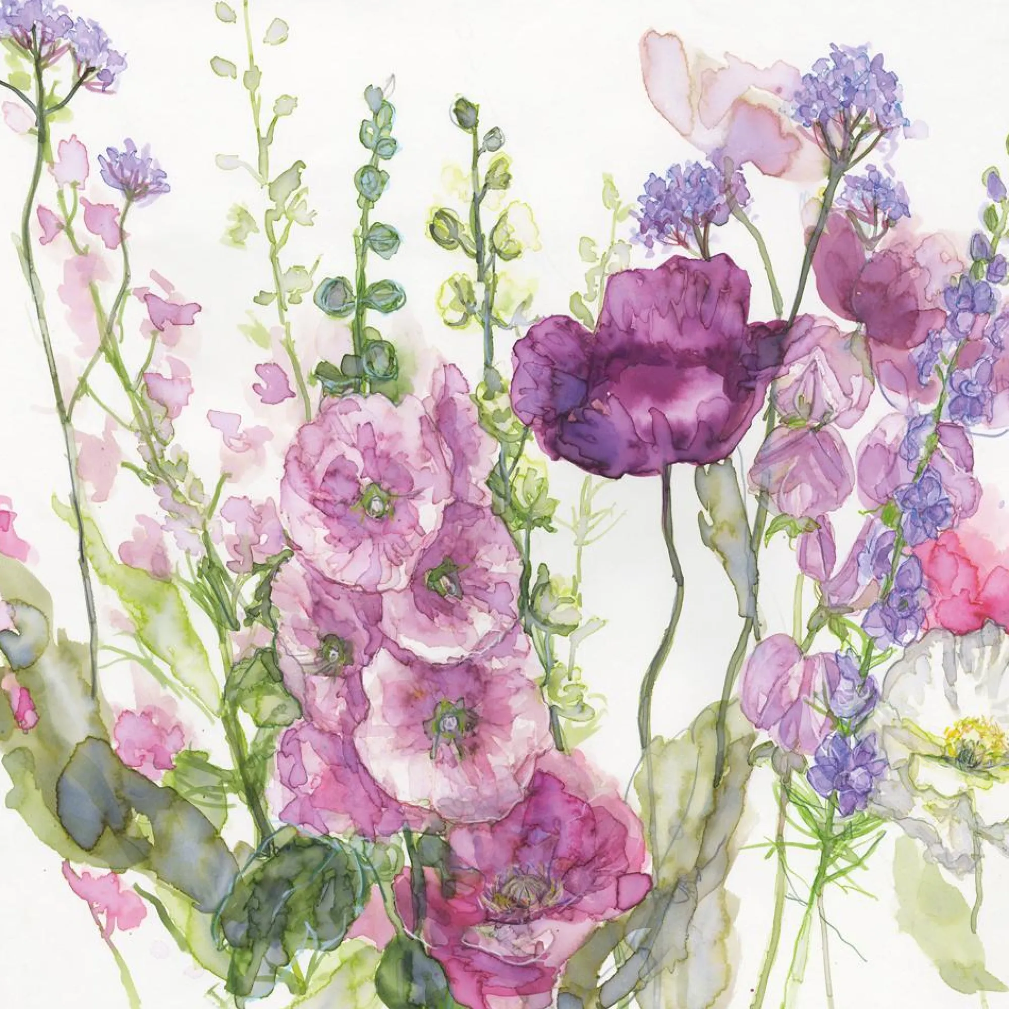 Unframed Prints*Whistlefish Hollyhocks And Poppies Art Print